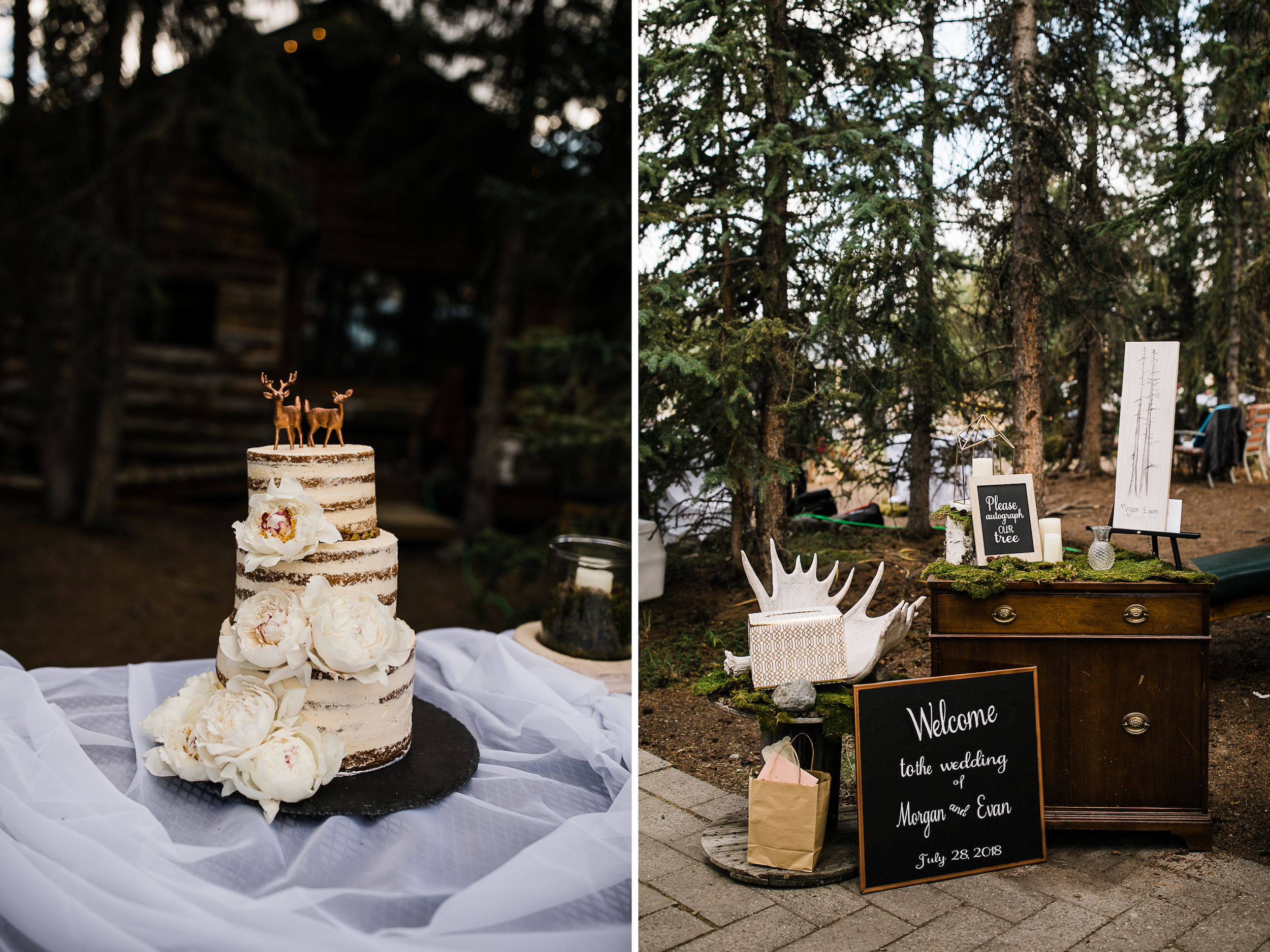 morgan + evan's intimate wedding on the denali airstrip | alaska destination wedding near Denali National Park and Preserve | the hearnes adventure photography 