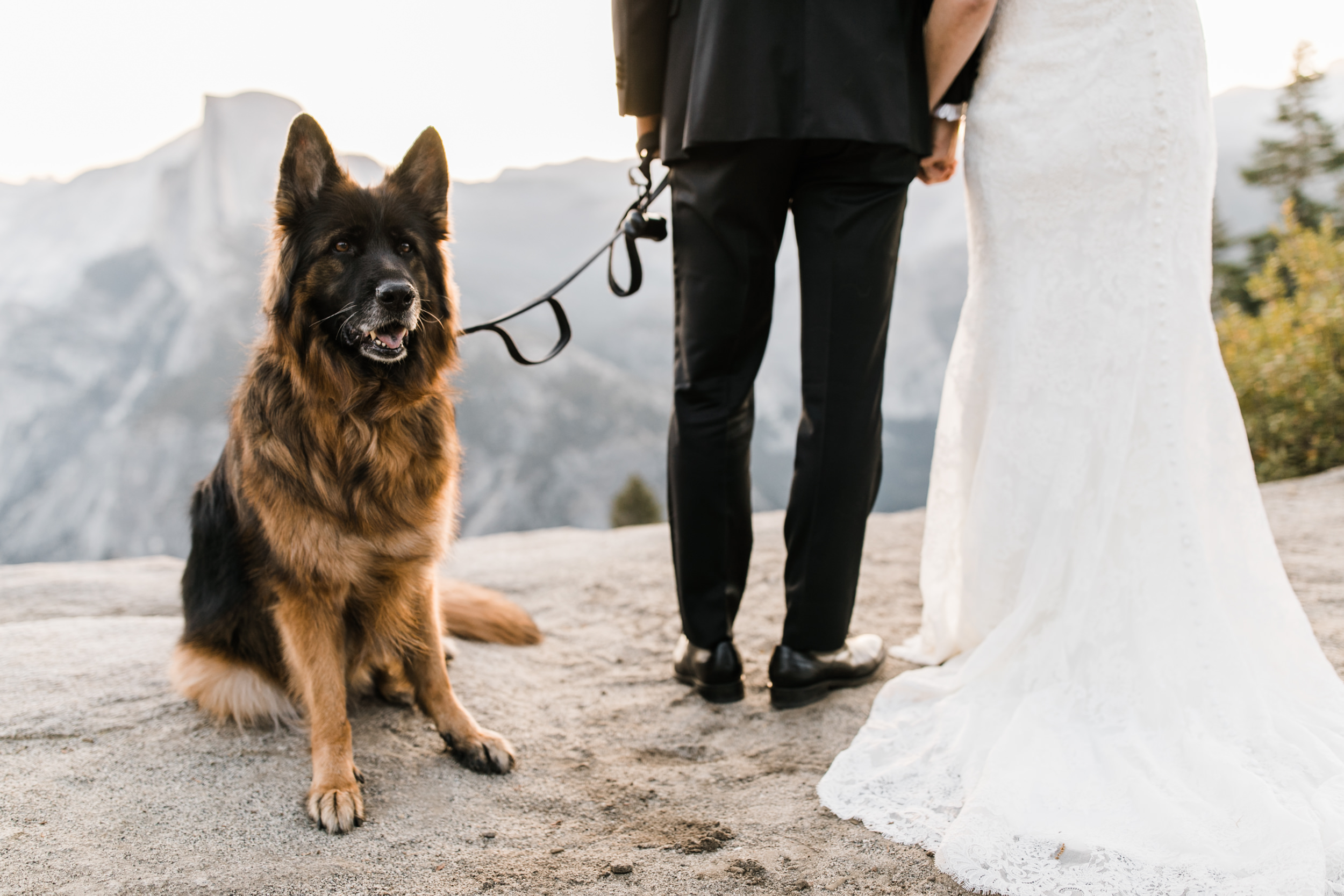 first look and wedding portraits at glacier point | bride and groom with a dog | yosemite national park elopement photographer | the hearnes adventure photography 