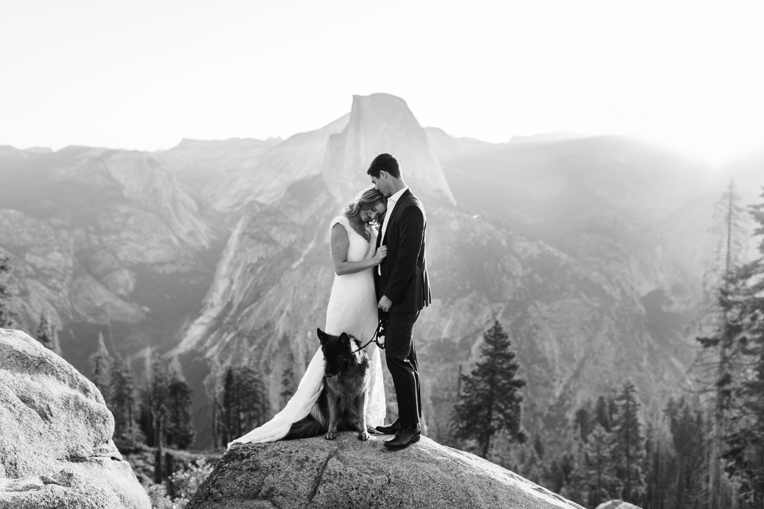 first look and wedding portraits at glacier point | bride and groom with a dog | yosemite national park elopement photographer | the hearnes adventure photography 