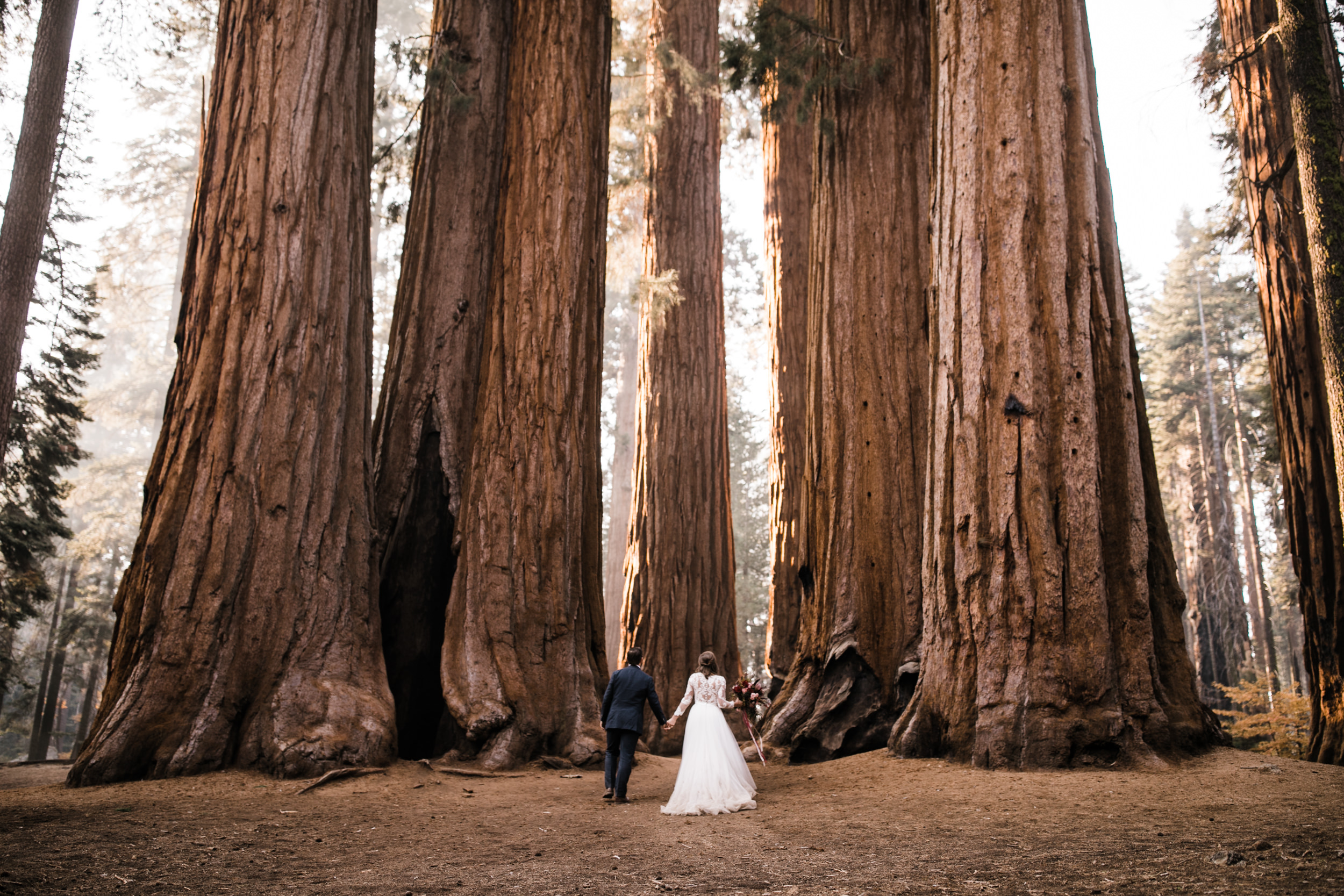 sequoia national park elopement wedding | adventure wedding in a forest | the hearnes adventure photography