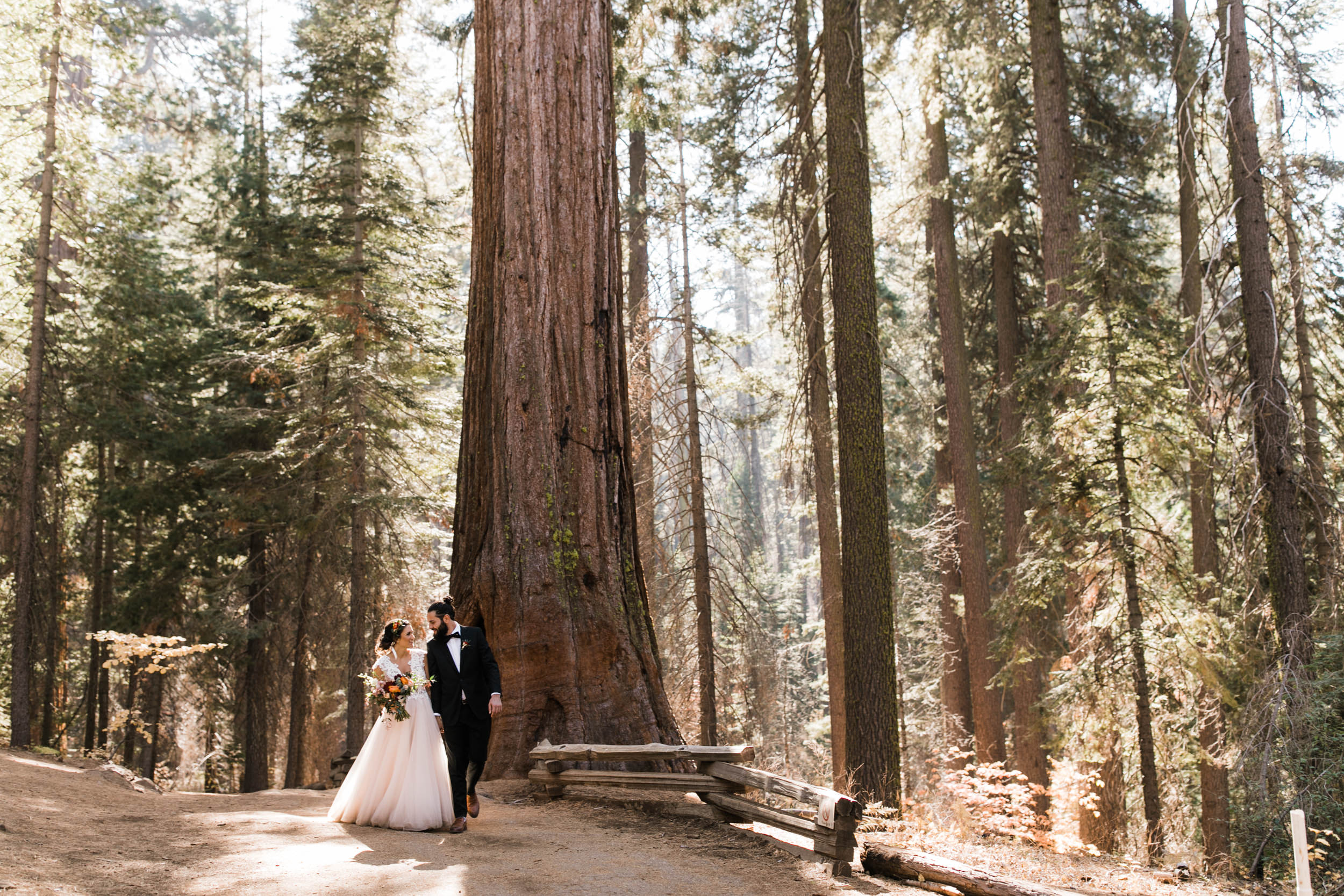 yosemite wedding photographer | Tuolumne grove wedding in Yosemite national park