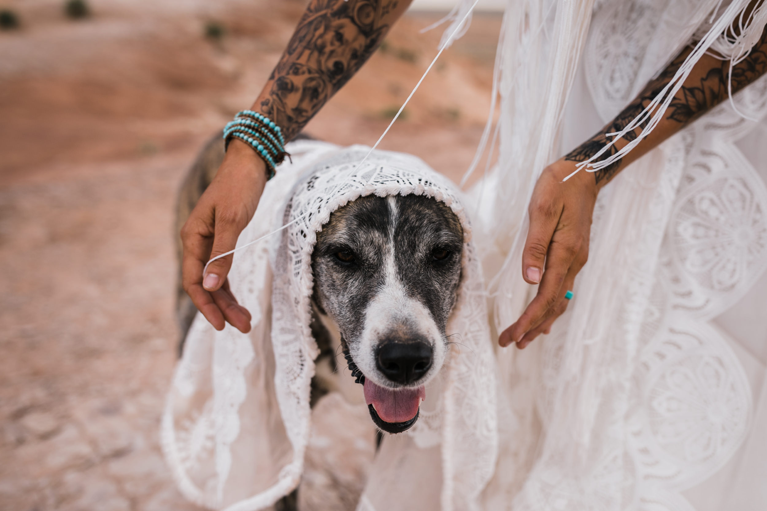 brianna madia rue de seine wedding dress portraits with their dogs bucket and dagwood