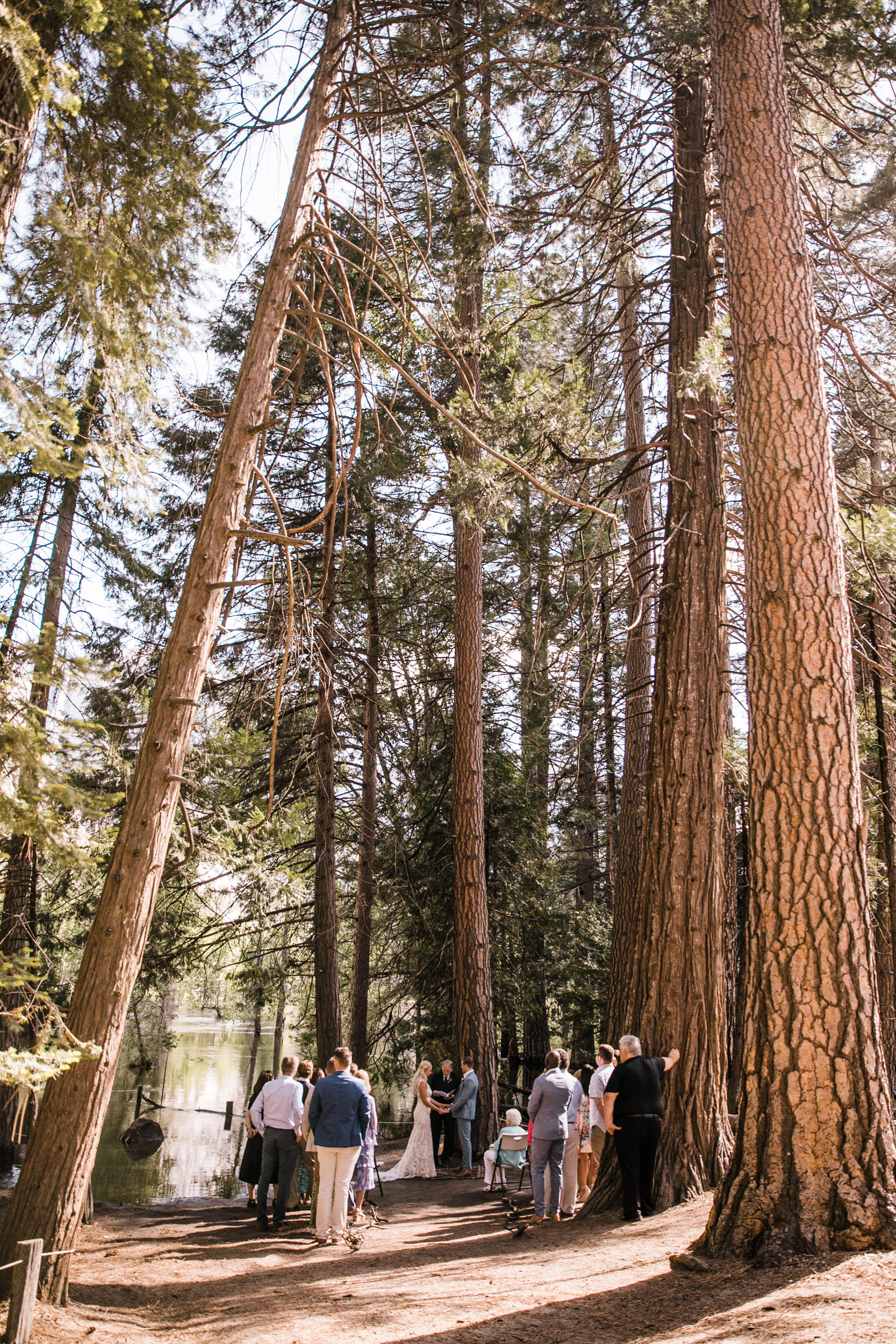 Erika + Grant’s intimate Yosemite National Park destination wedding + romantic backyard reception under twinkle lights | ceremony in the woods in yosemite valley | the hearnes adventure photography