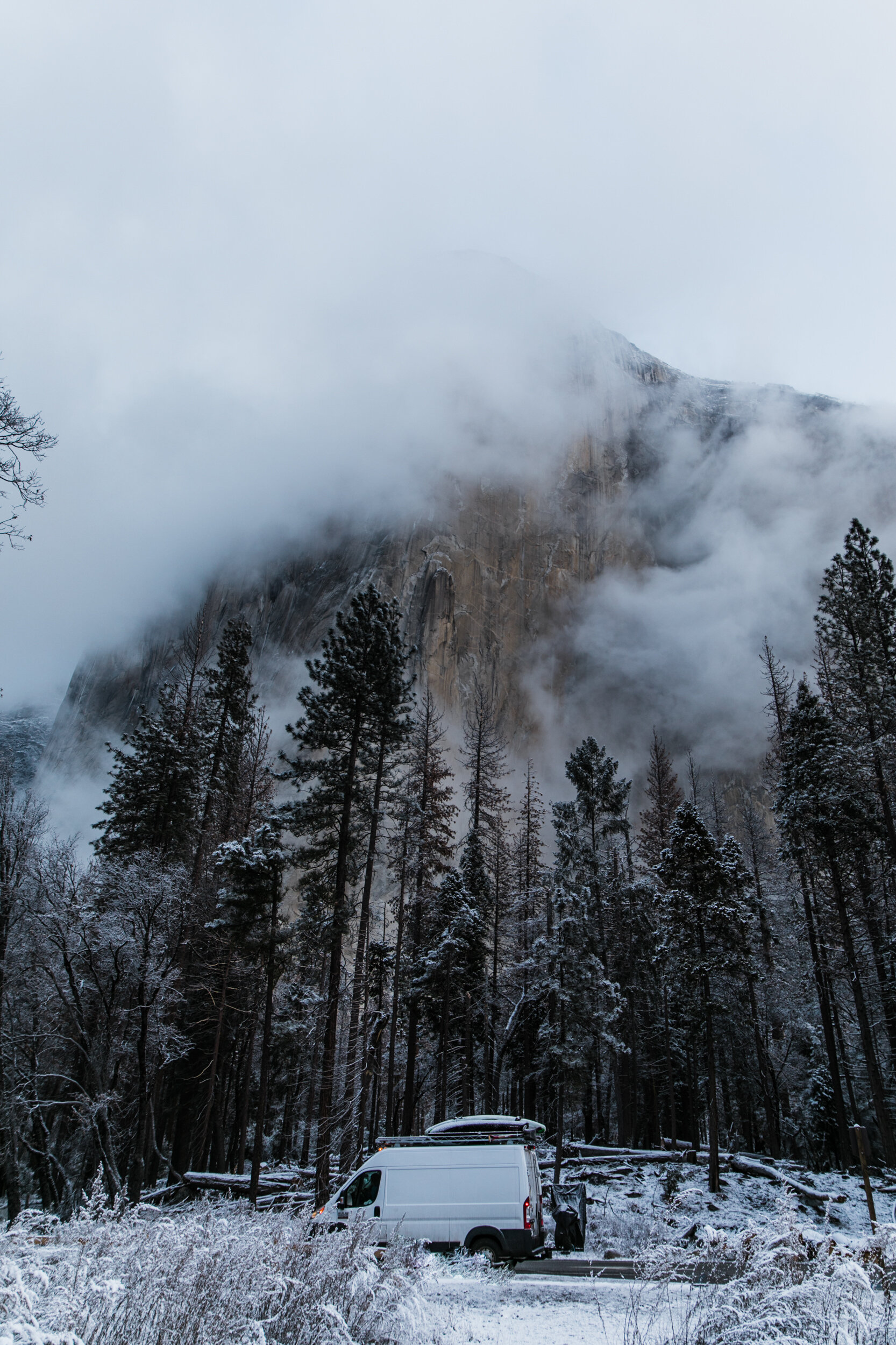Yosemite-Hearnes-Elopement-Photography-7.jpg