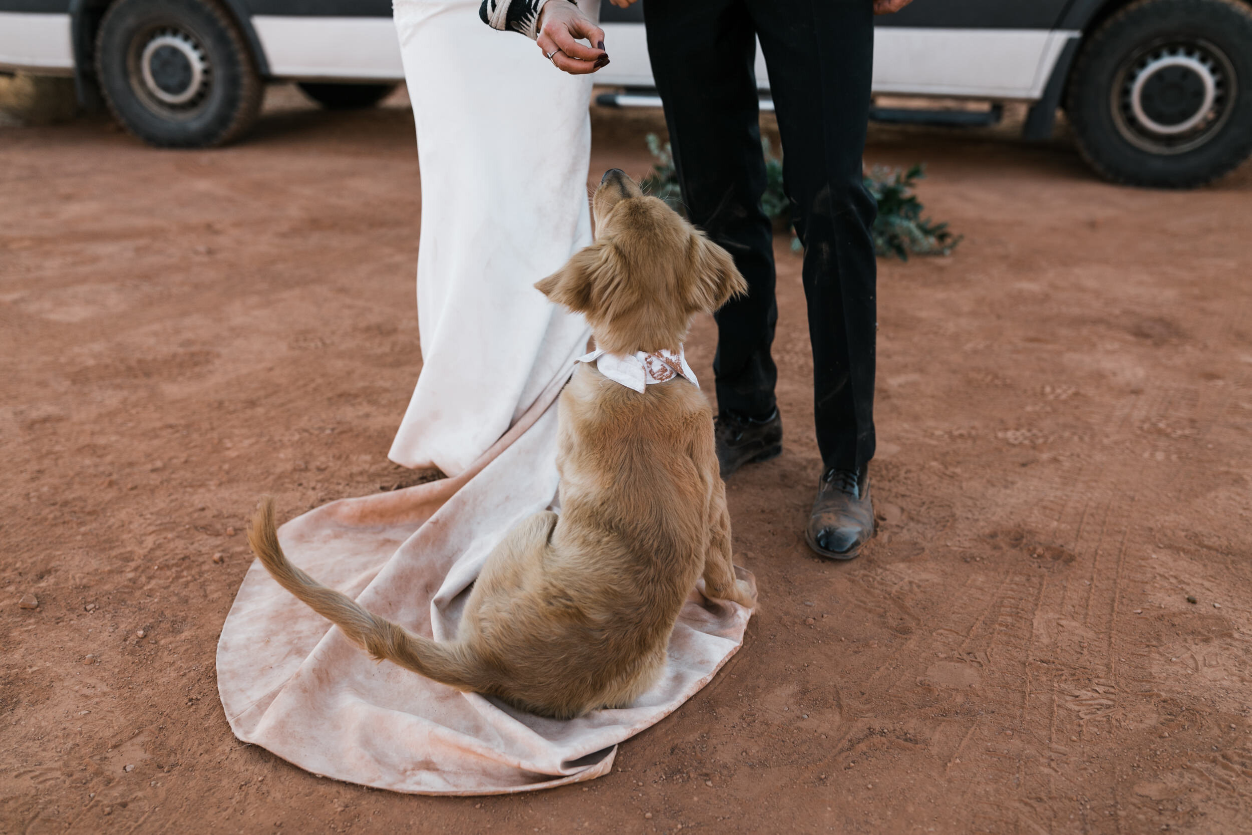 Moab Elopement | wedding with a golden retriever puppy | The Hearnes Adventure Photography