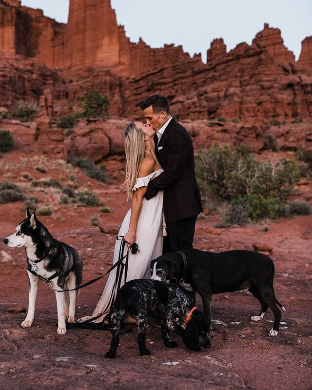 When there are more dogs than people, you know we&rsquo;re all in for a good time! (last four photos taken by our new intern Charlie 🐕). This day with Jessica and Tom was so much fun. They left the locations up to us so we picked an easy hike through a creek specifically for the dogs and then a gorgeous sunset spot with views of Moab&rsquo;s best desert towers. They showed up with our favorite drinks, we brought the pizza, and we all had a great time hiking, taking photos, and pretty much having the best double date (plus 4 dogs) ever!
-
People always joke about Charlie taking photos with us, so we thought it would be funny to strap the GoPro on him and see his perspective 😜 we set it to take a photo every 5 seconds and well, he&rsquo;s not quite up to par with us yet, but his ability to capture the (dog) subjects was interesting...note in the last ~portrait~ that he has a stick in his mouth 😂 anyway, quarantine might have made us go a little crazy but in all seriousness, we had suc