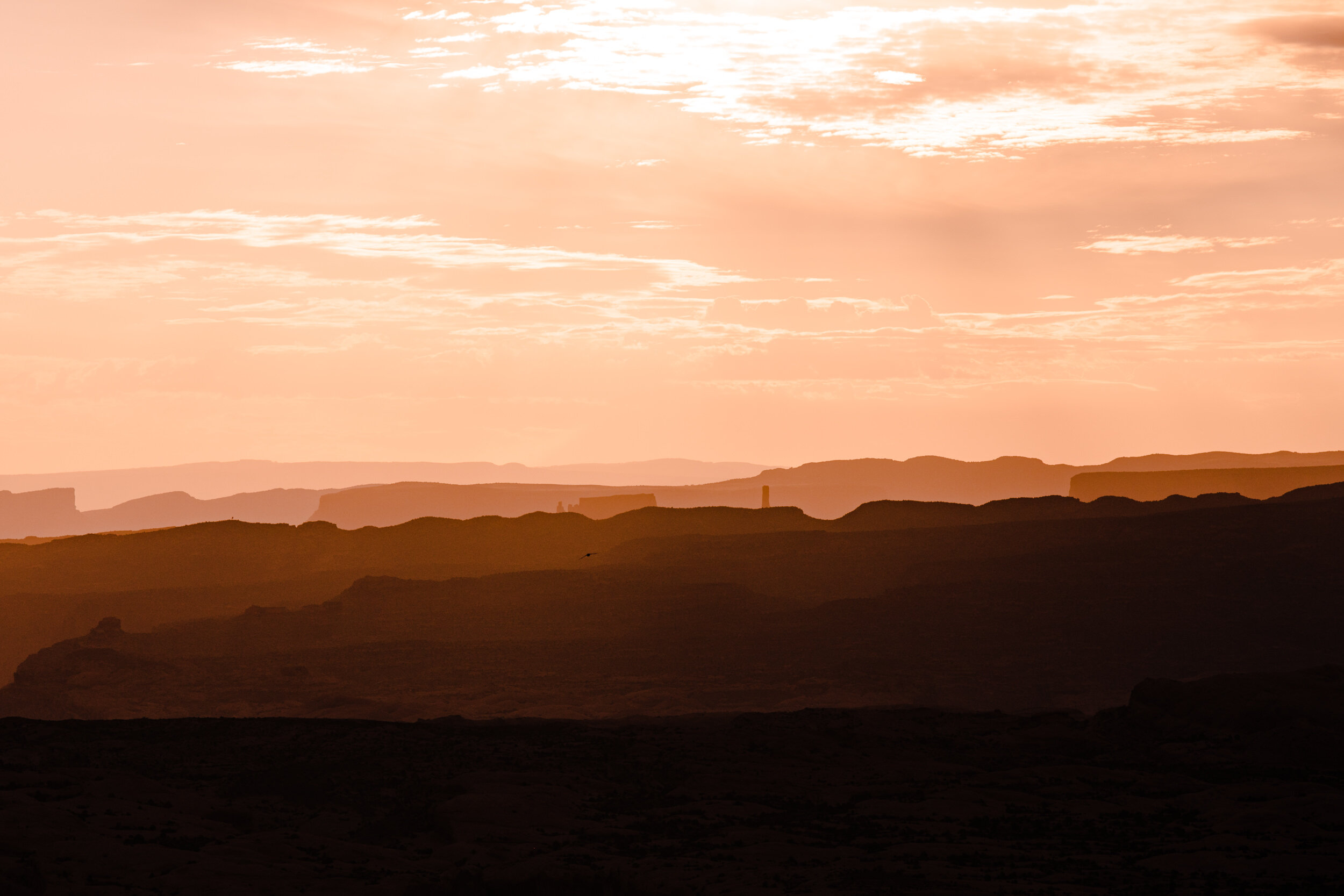 kimi + brett’s sunrise engagement photos in Moab, Utah with their dogs | utah elopement photographers | the hearnes adventure photography