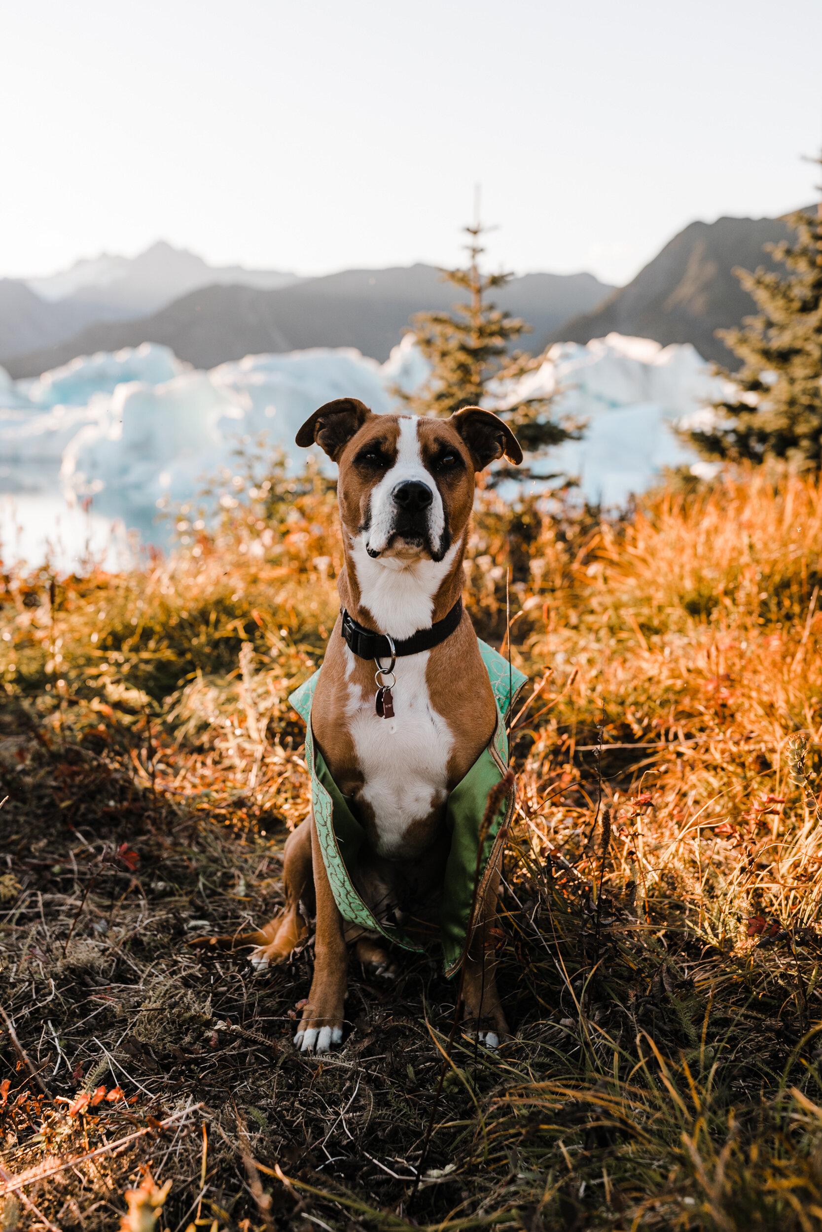 Helicopter Packrafting Elopement in Alaska | Indian Wedding Dress | Adventure Wedding with a dog | The Hearnes