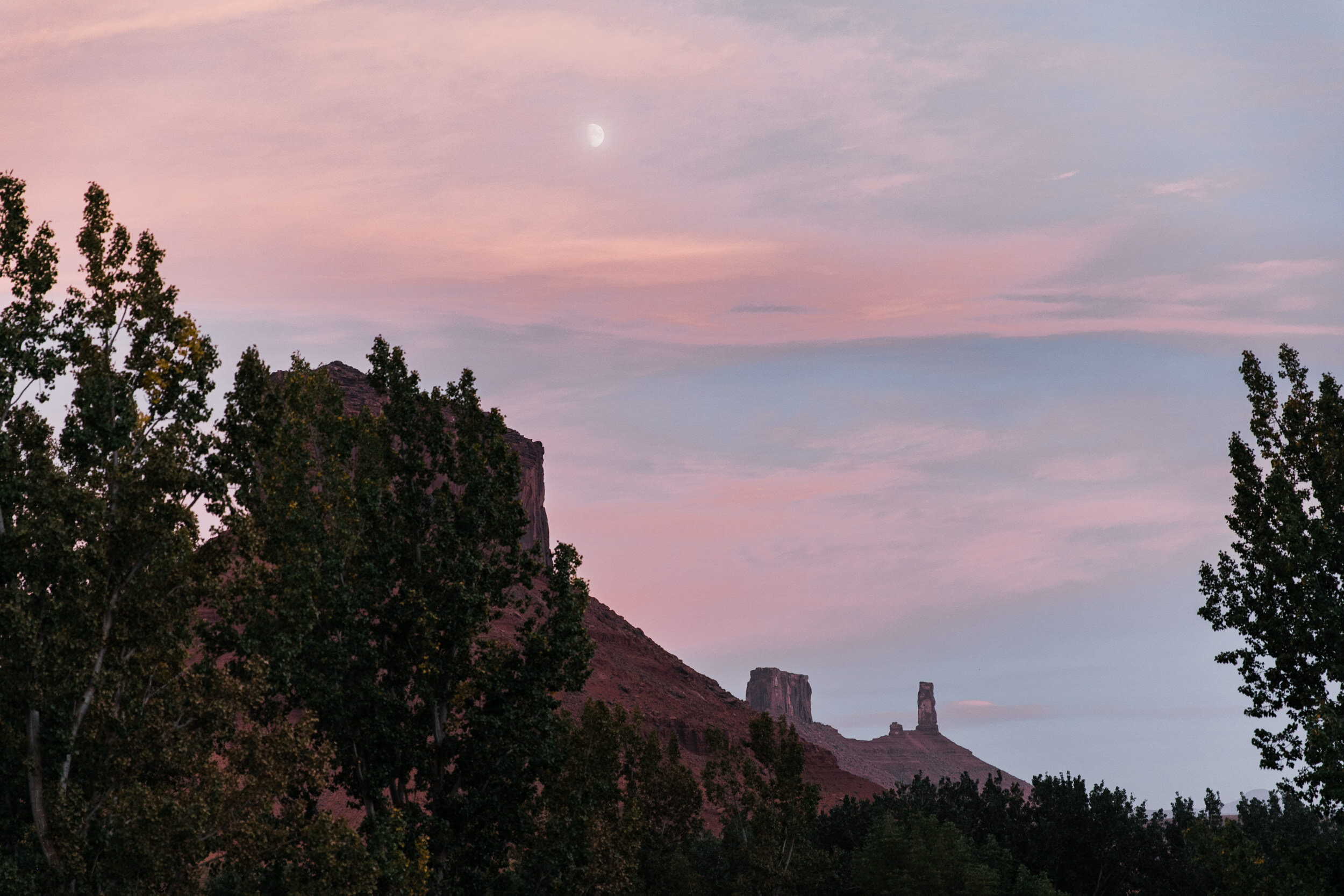 small covid-safe wedding in utah with The Hearnes