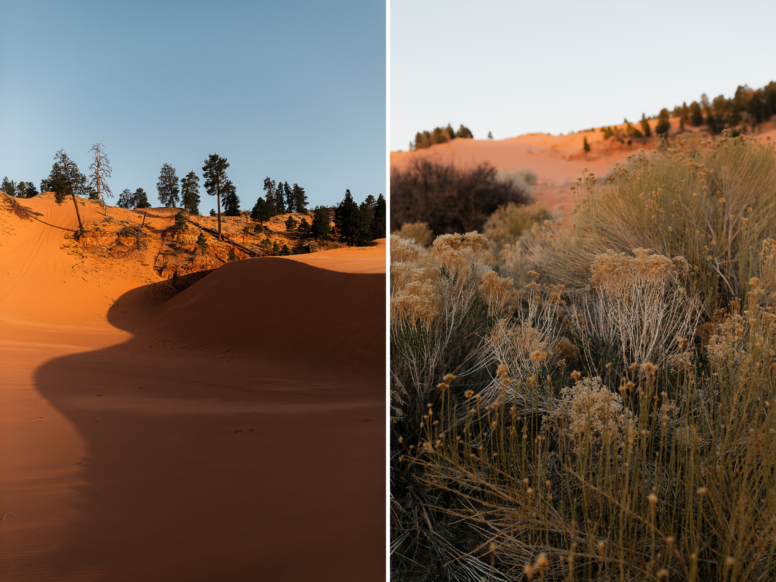 Intimate Elopement | Red Sand Dunes and Desert Landscape in Utah | The Hearnes Photography
