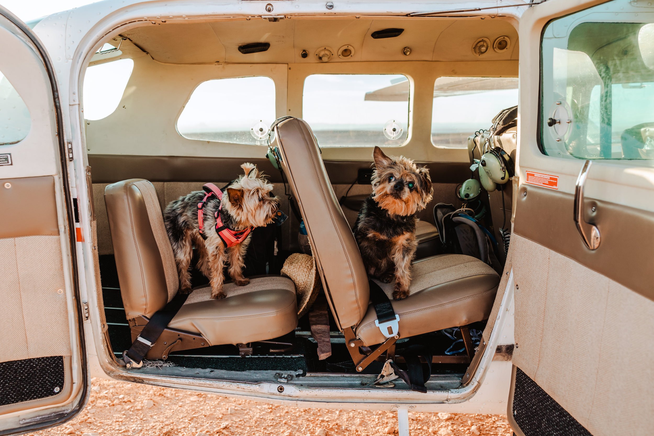 Moab, Utah Airplane Aviation Backcountry Elopement | The Hearnes Adventure Photography