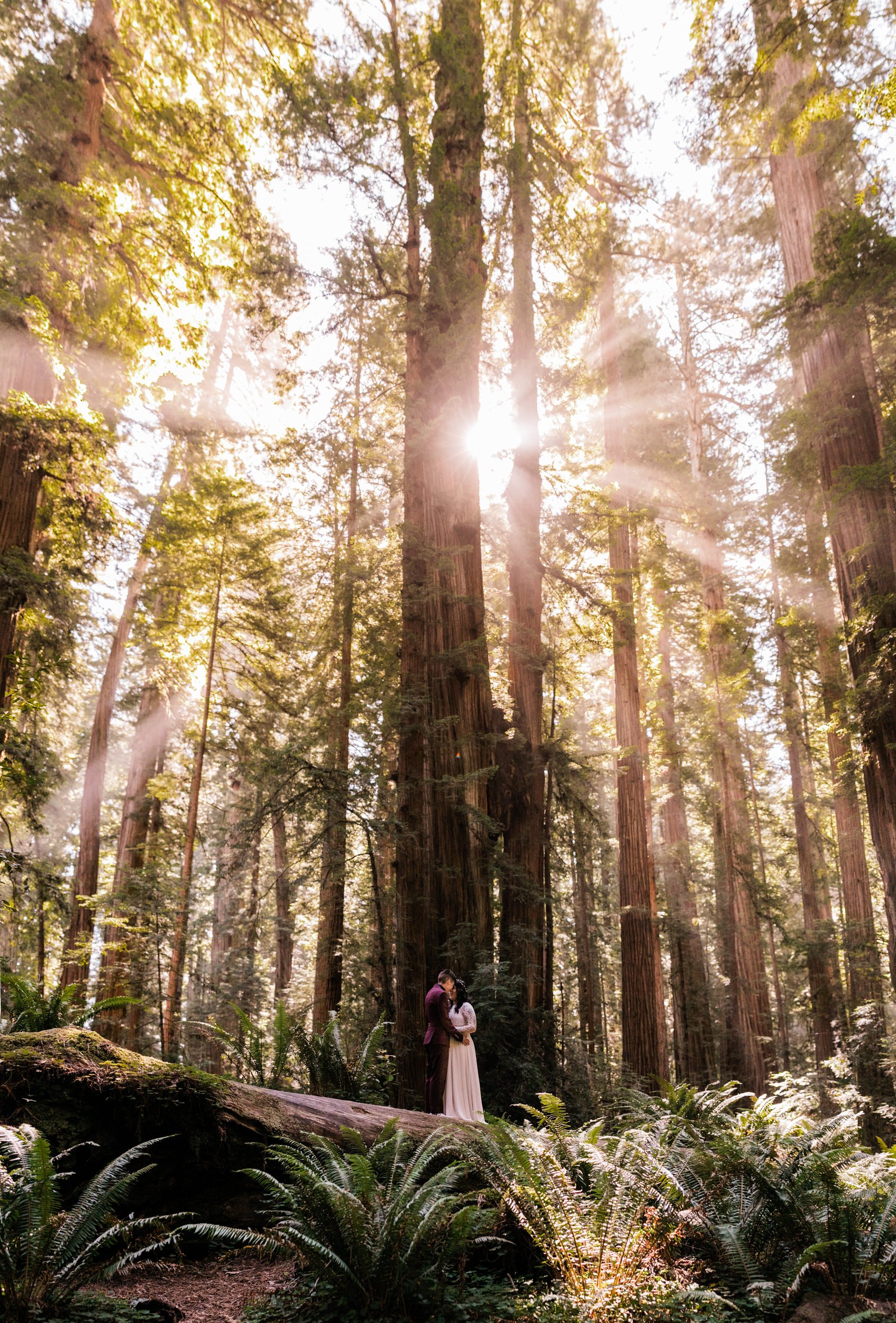 Redwoods National Park Elopement | LGBTQ+ Wedding | The Hearnes Adventure Photography