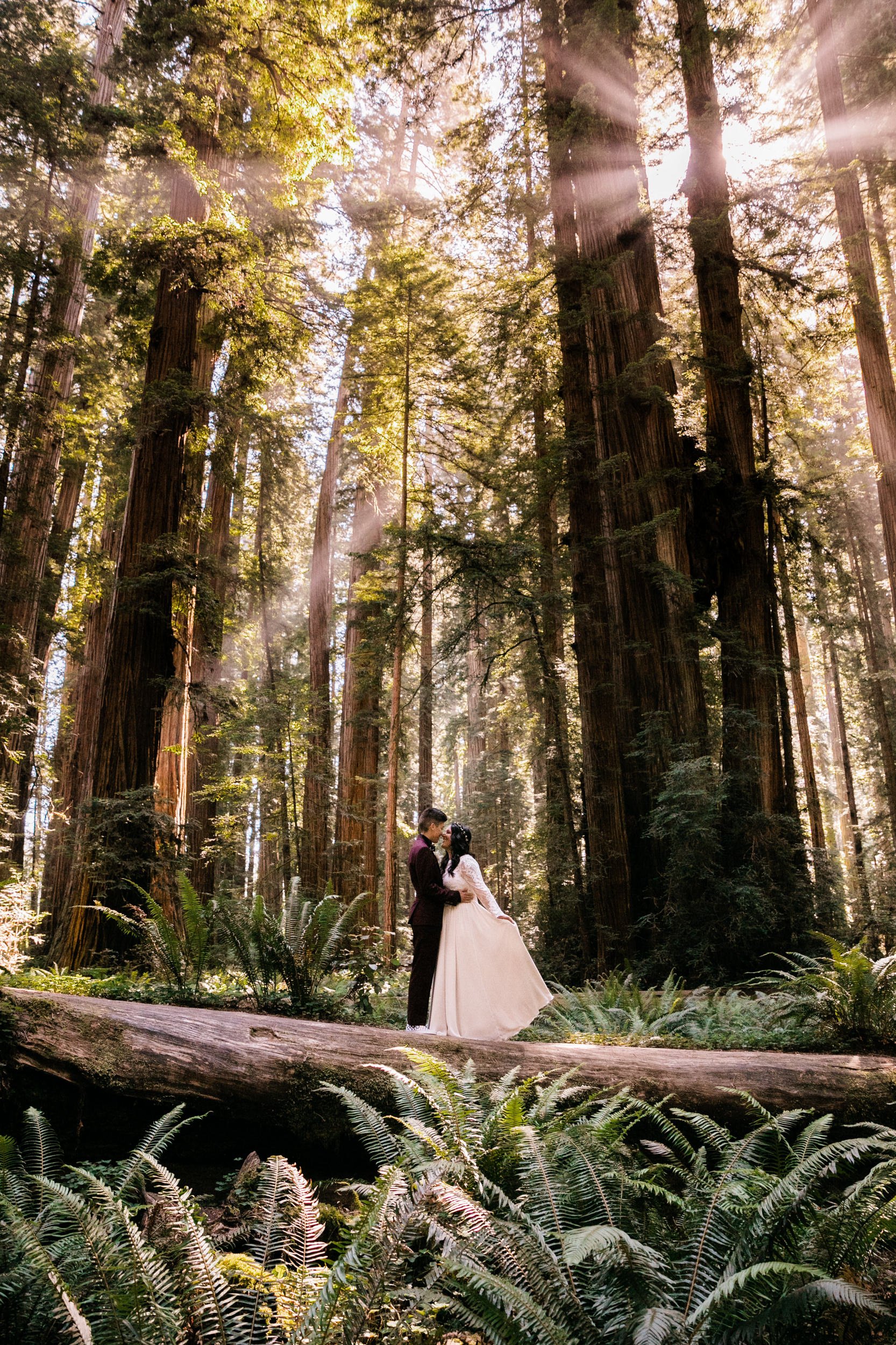 Redwoods National Park Elopement | LGBTQ+ Wedding | The Hearnes Adventure Photography
