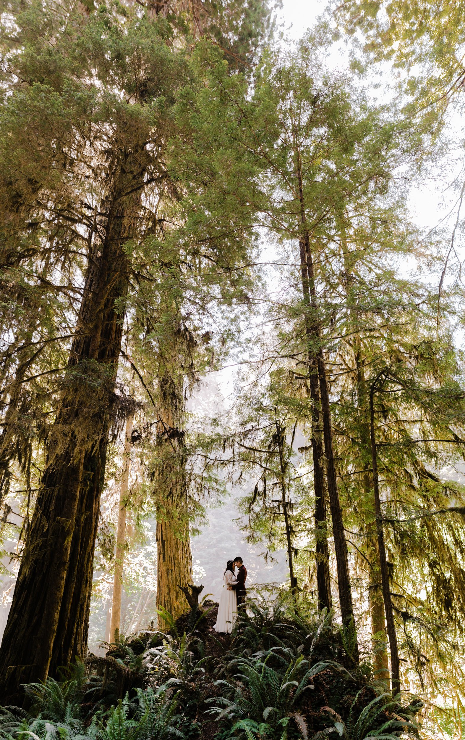 Redwoods National Park Elopement | LGBTQ+ Wedding | The Hearnes Adventure Photography