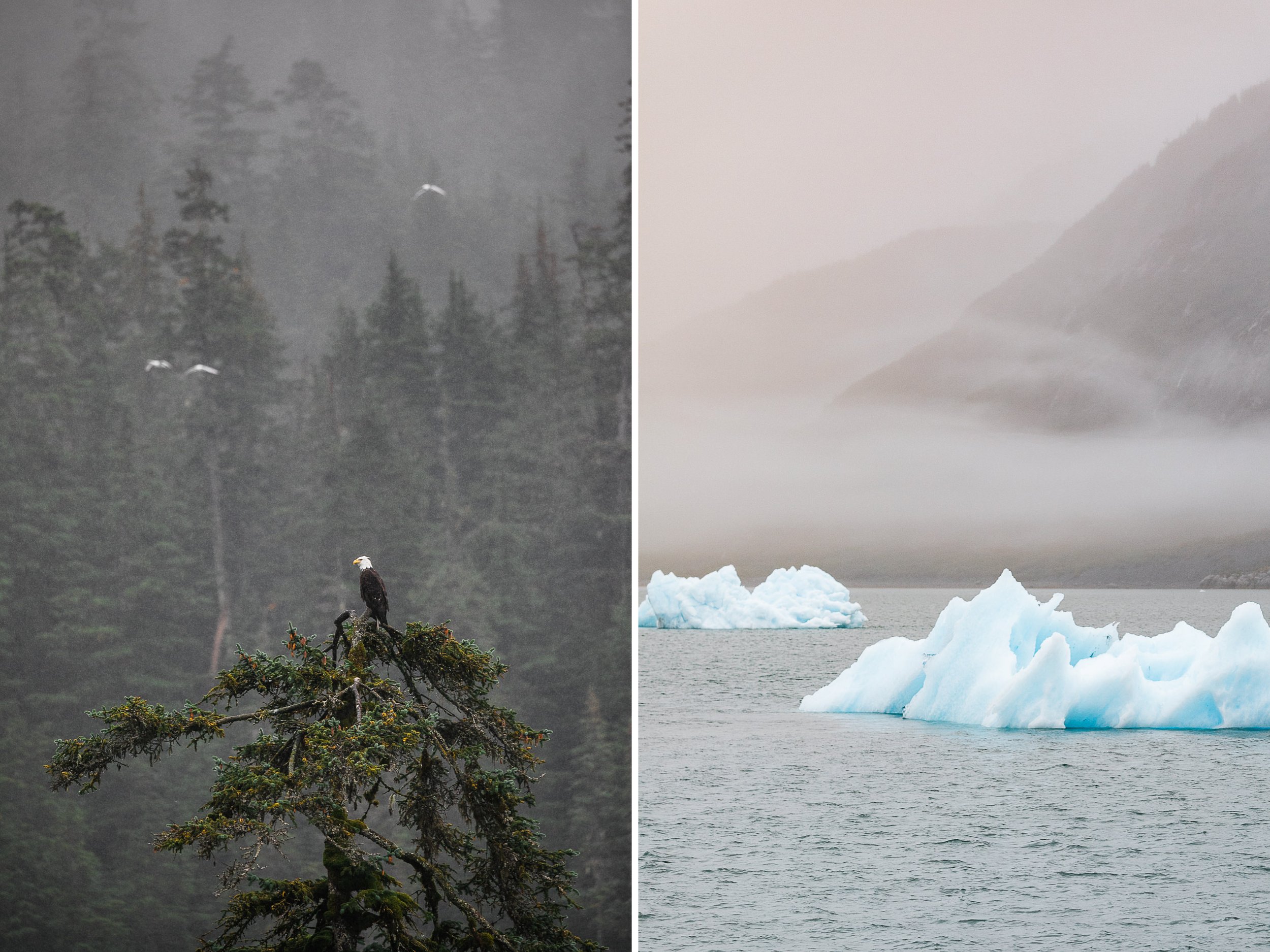 Rainy Elopement Day in Valdez, Alaska | The Hearnes Adventure Photography