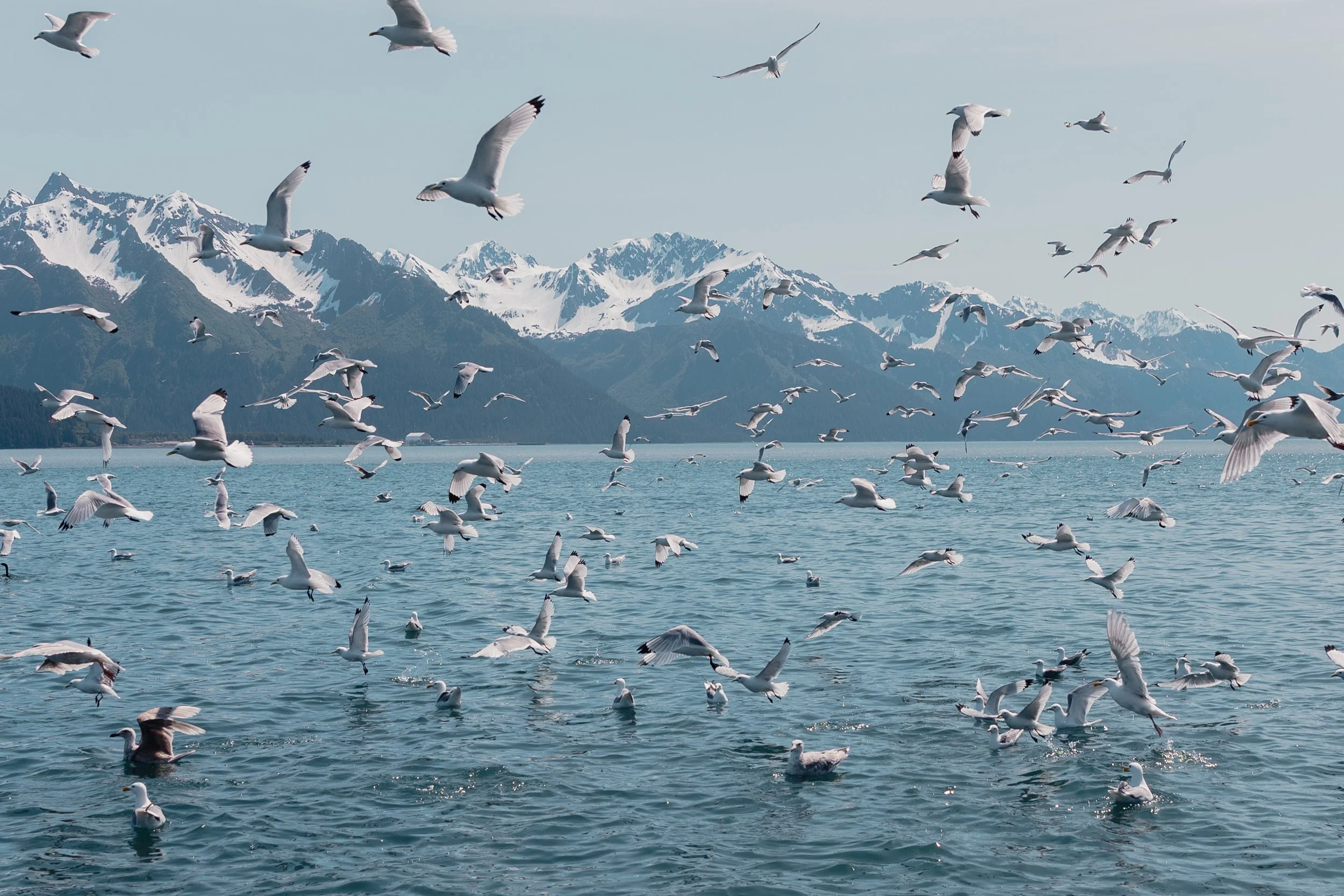 Photo Session on a sailboat in Alaska | Rez Bay Sailing in Seward | The Hearnes Adventure Photography