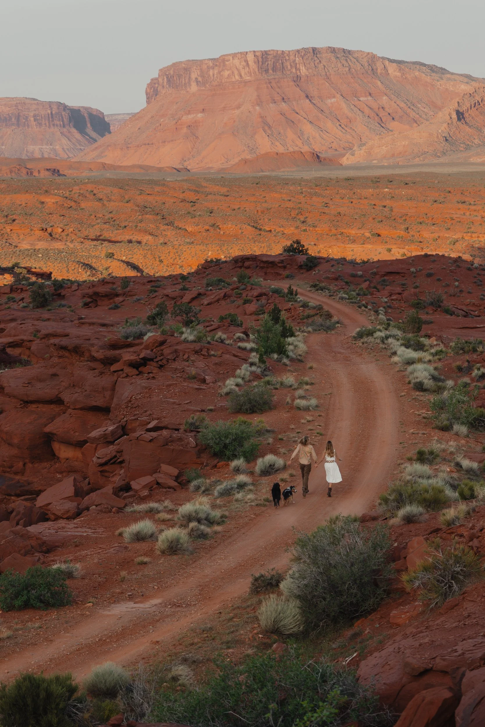 Rachel Harris @sunnrayy + Tanner Price @tanner.price_ engaged in Moab, Utah | sunrise surprise proposal with The Hearnes
