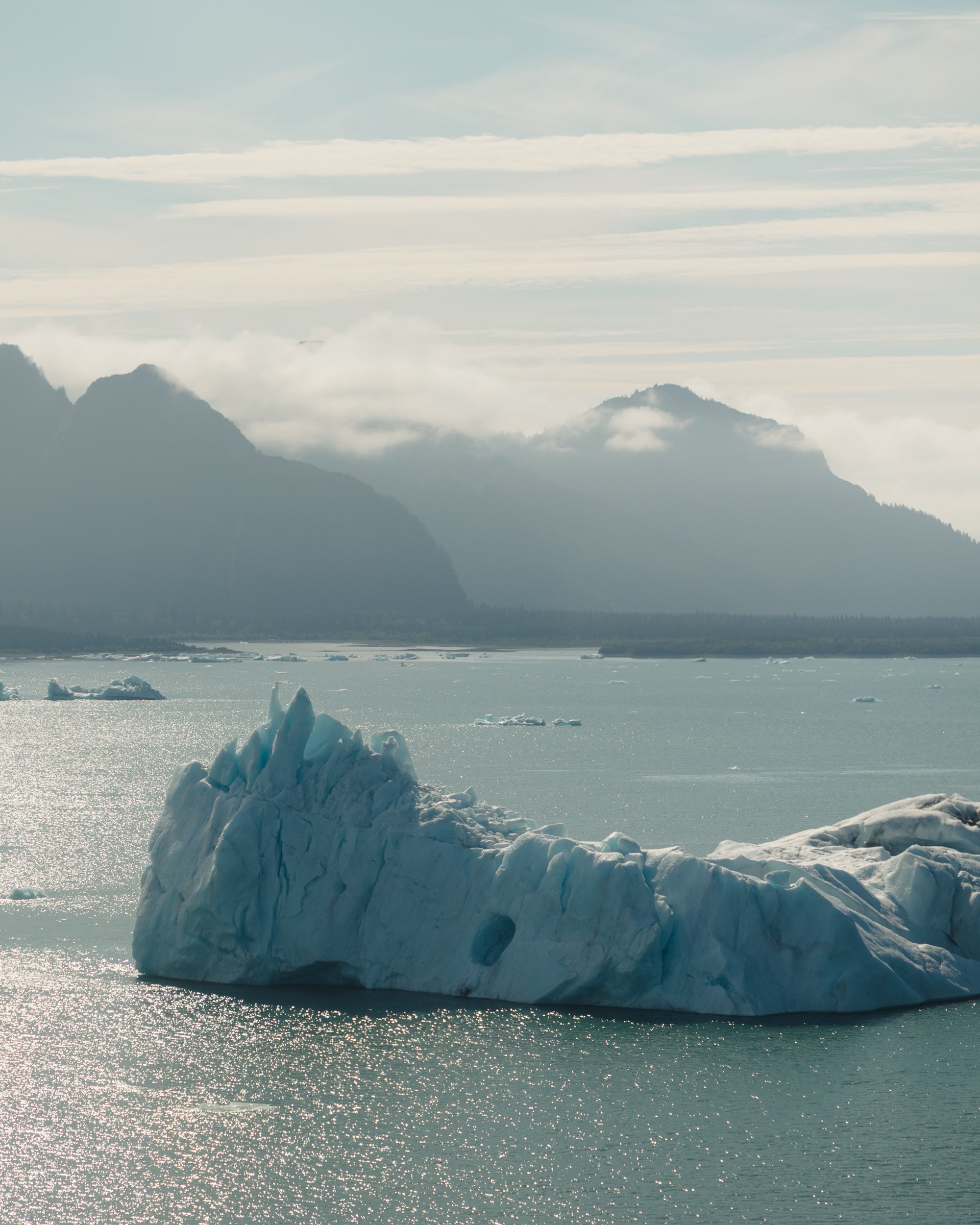 LGBTQ+ lesbian wedding in Seward, Alaska at Kenai Fjords National Park | The Hearnes Photography