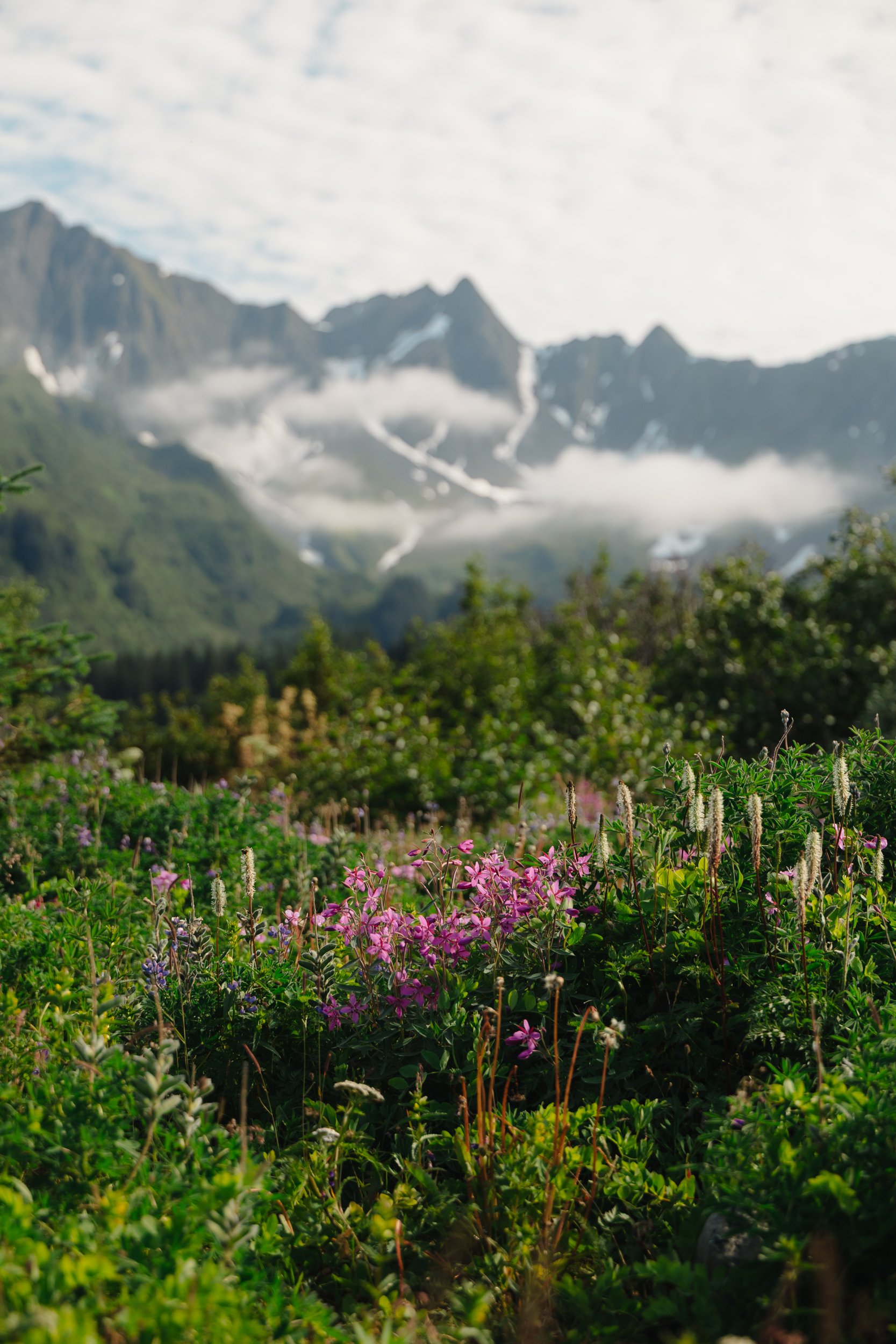 LGBTQ+ lesbian wedding in Seward, Alaska at Kenai Fjords National Park | The Hearnes Photography