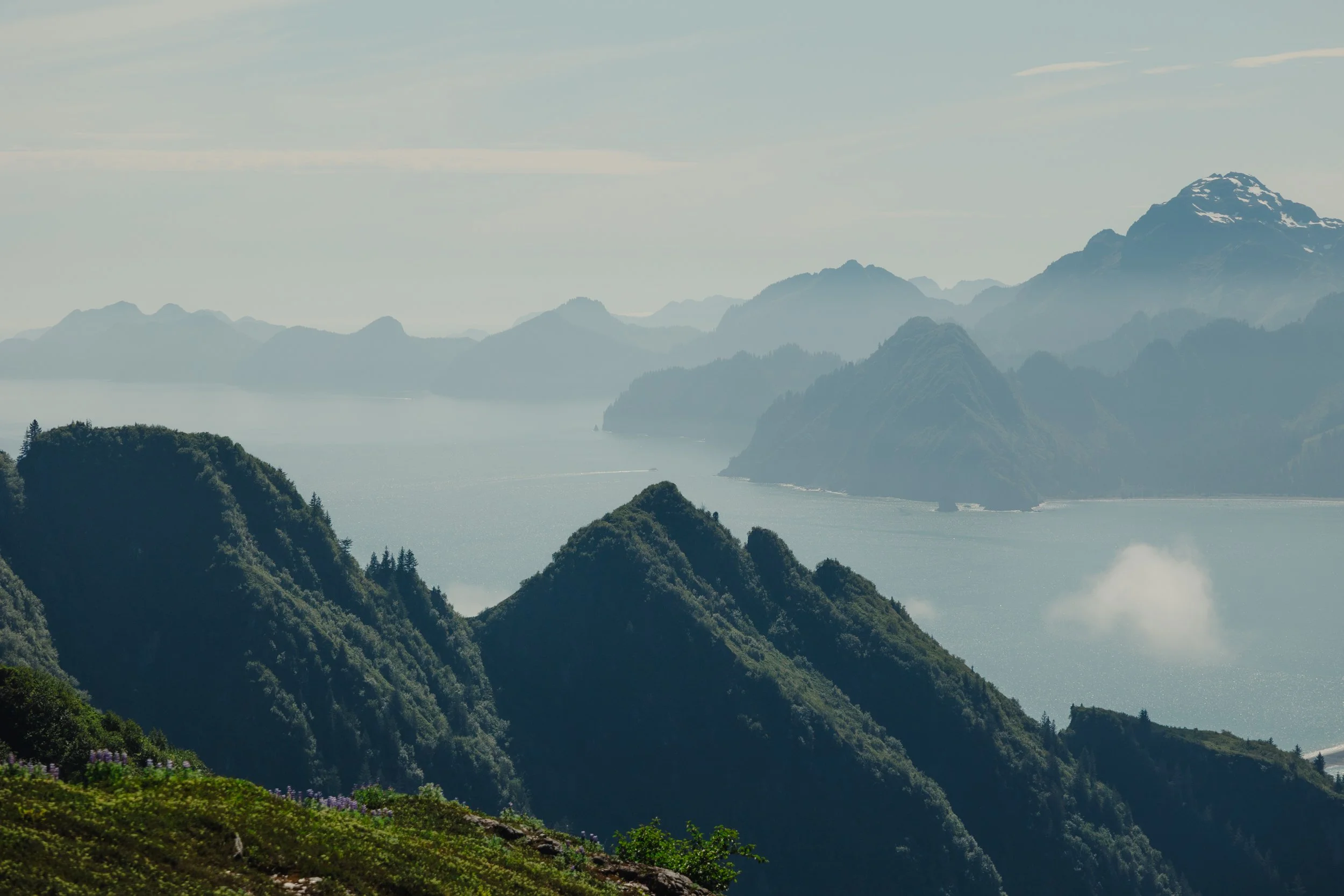 LGBTQ+ lesbian wedding in Seward, Alaska at Kenai Fjords National Park | The Hearnes Photography