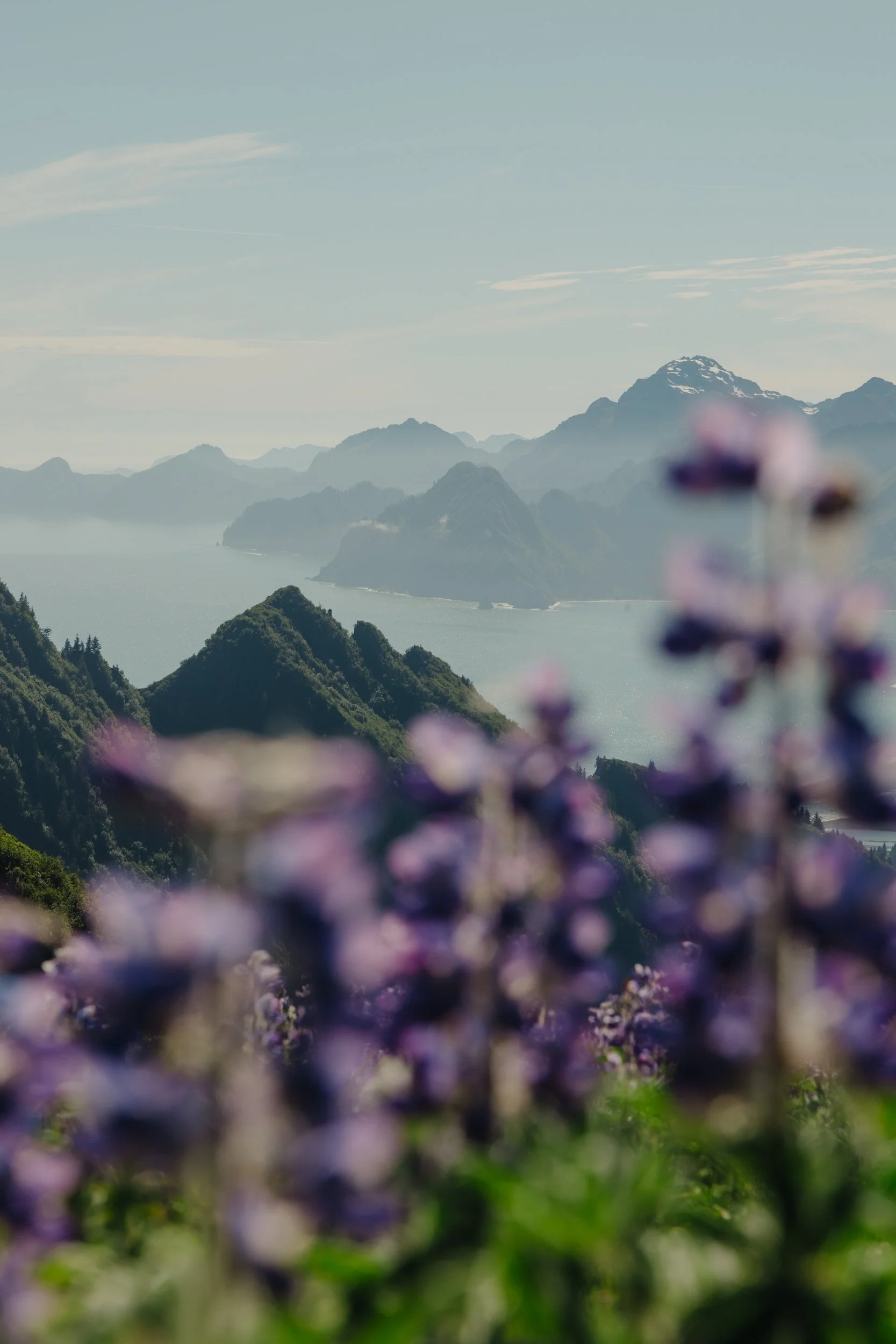LGBTQ+ lesbian wedding in Seward, Alaska at Kenai Fjords National Park | The Hearnes Photography