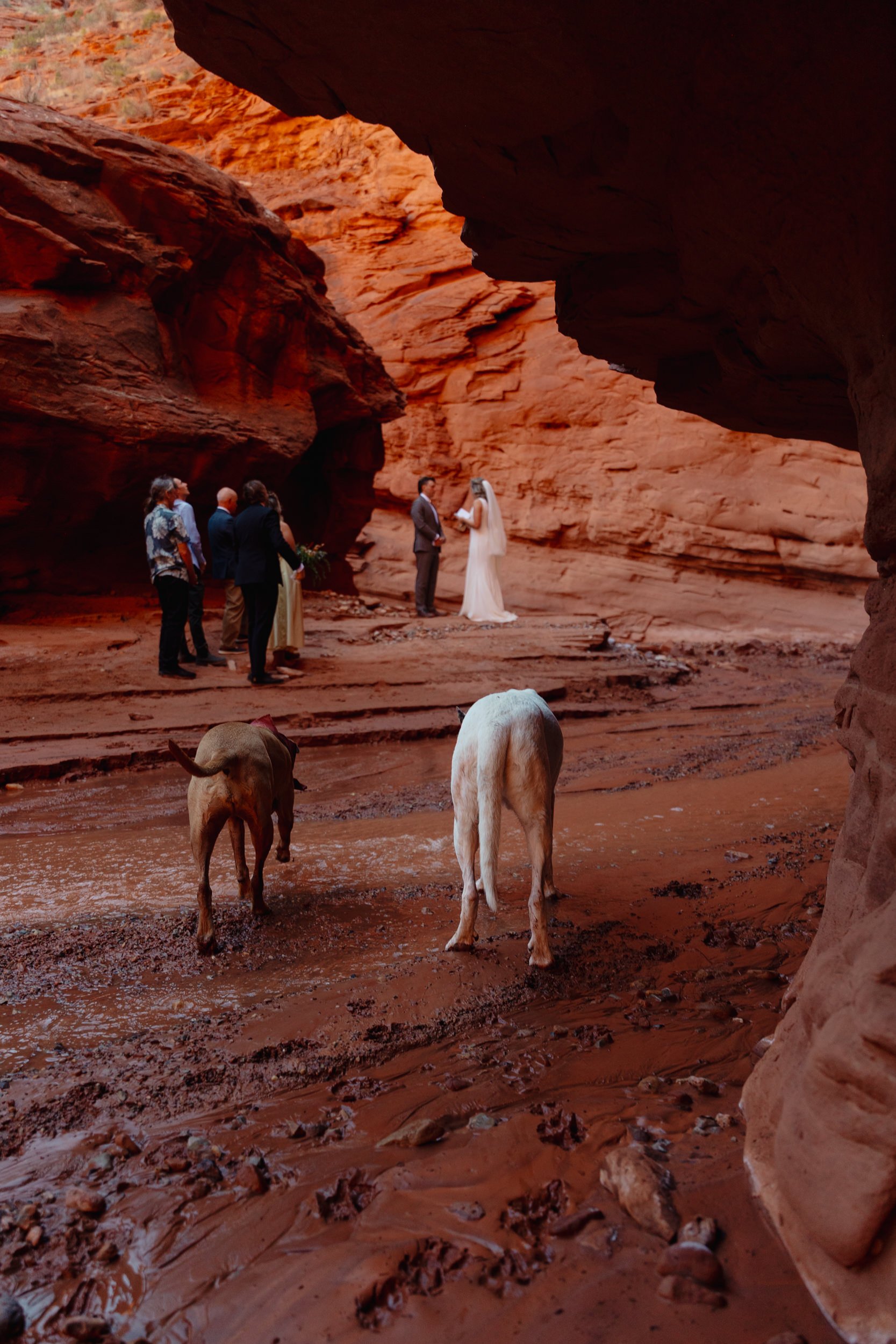 Moab, Utah elopement slot canyon ceremony | The Hearnes Adventure Photography