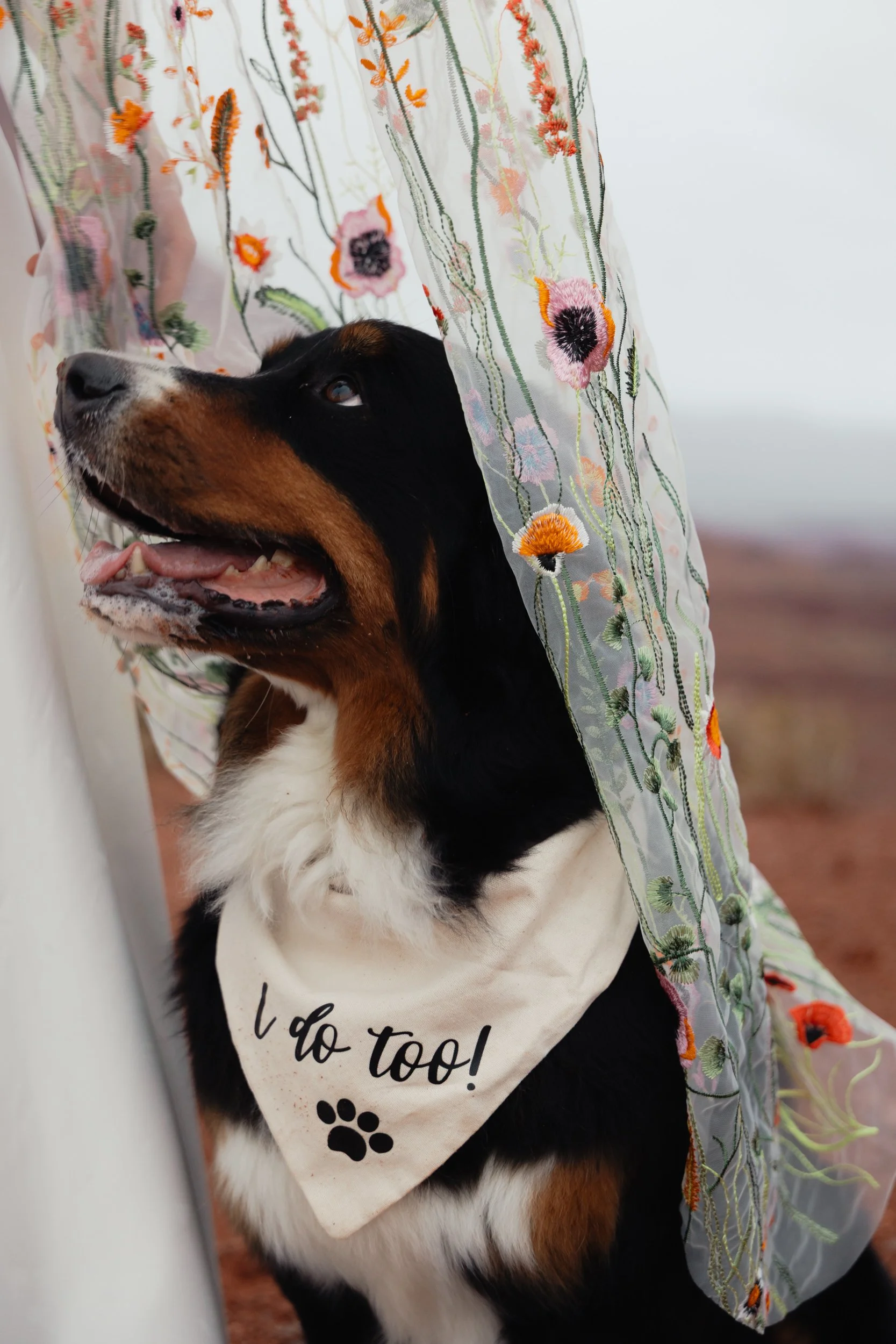 Canyonlands National Park Elopement in Moab Utah with The Hearnes Adventure Photography