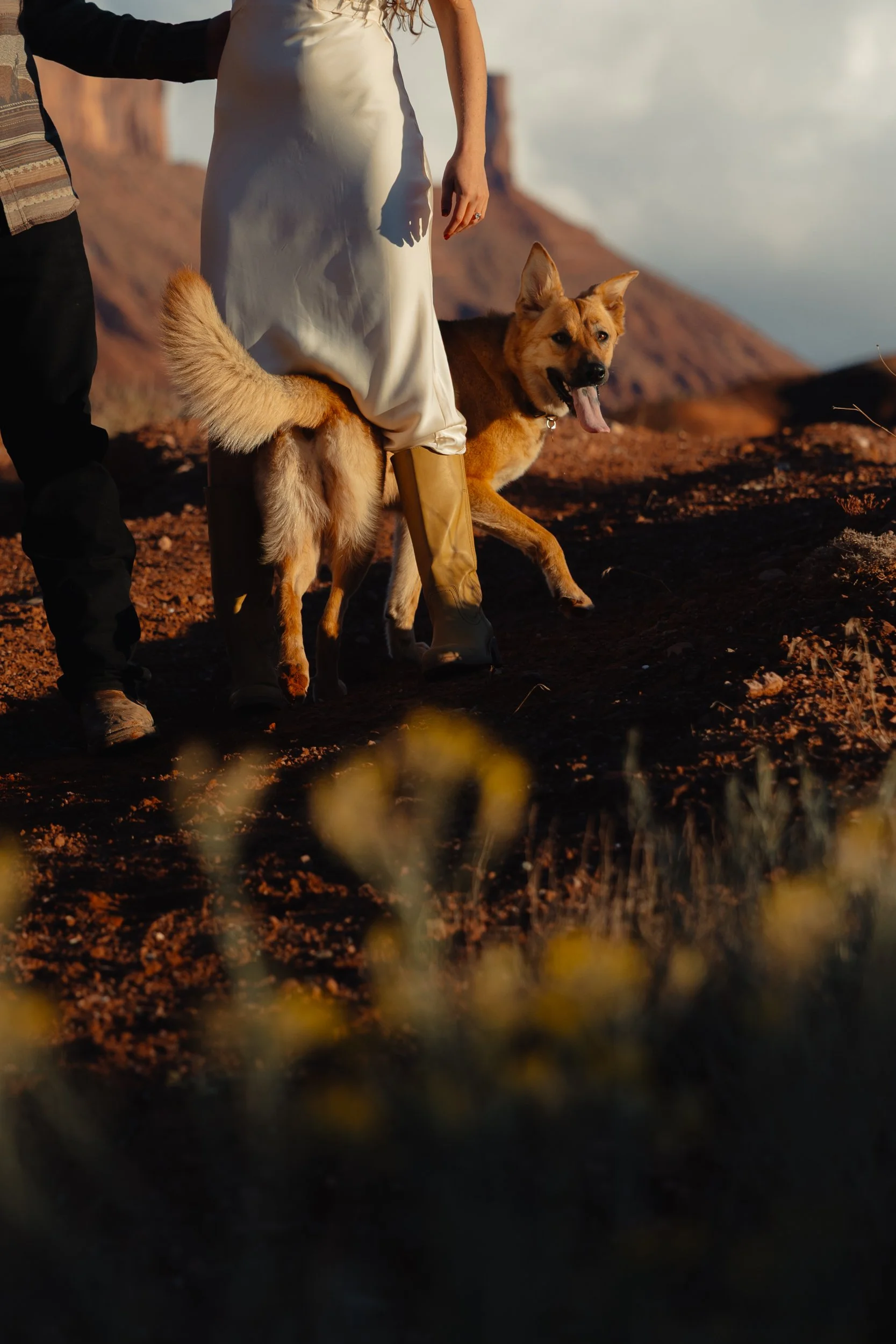 western Engagement portrait session in Moab Utah with a dog