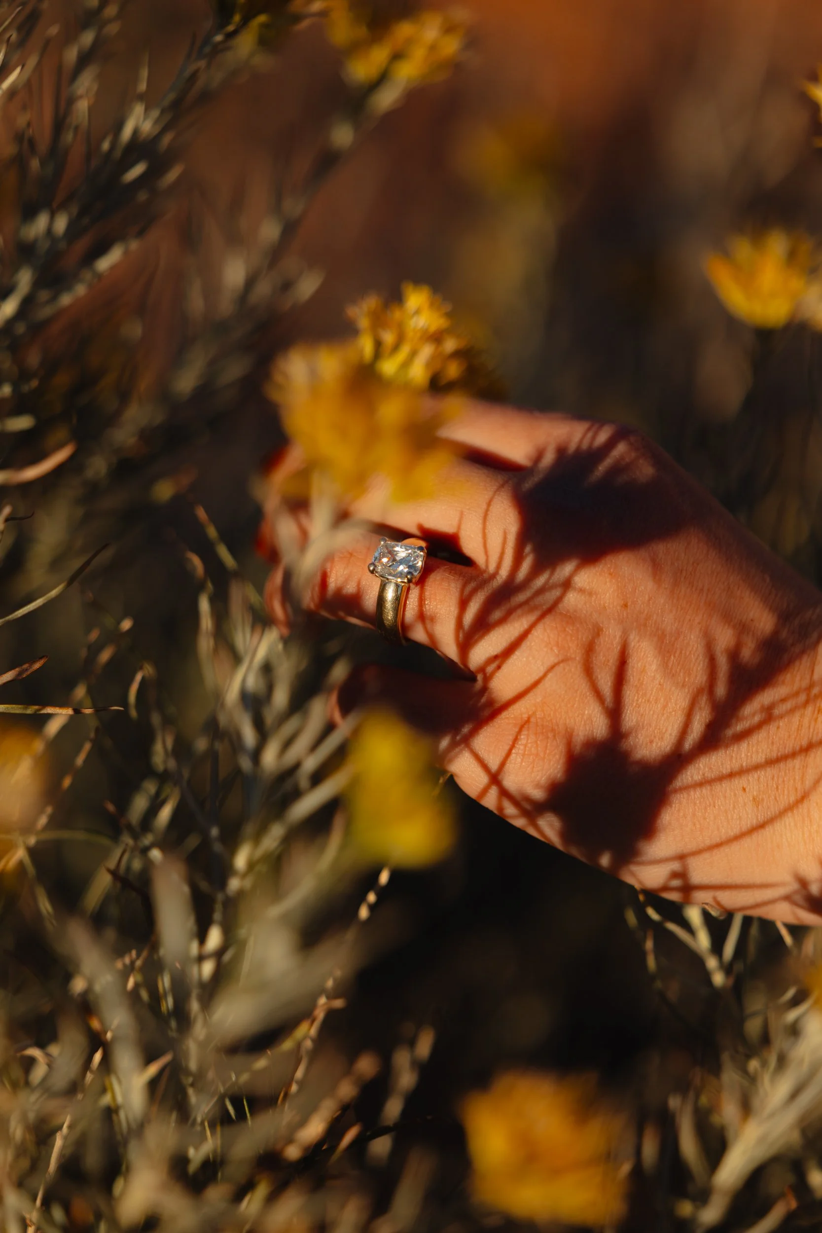 western Engagement portrait session in Moab Utah with a dog