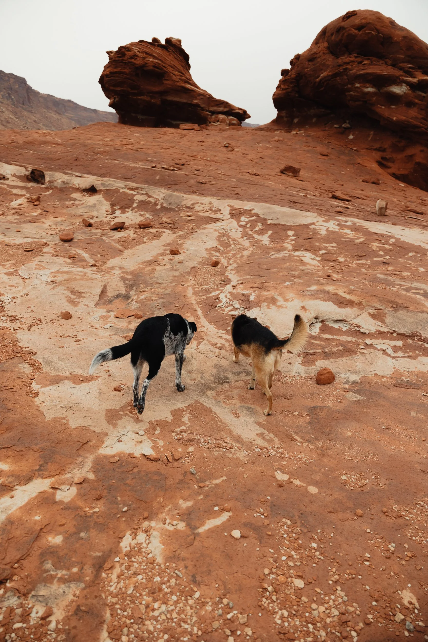 rainy moab elopement with the hearnes