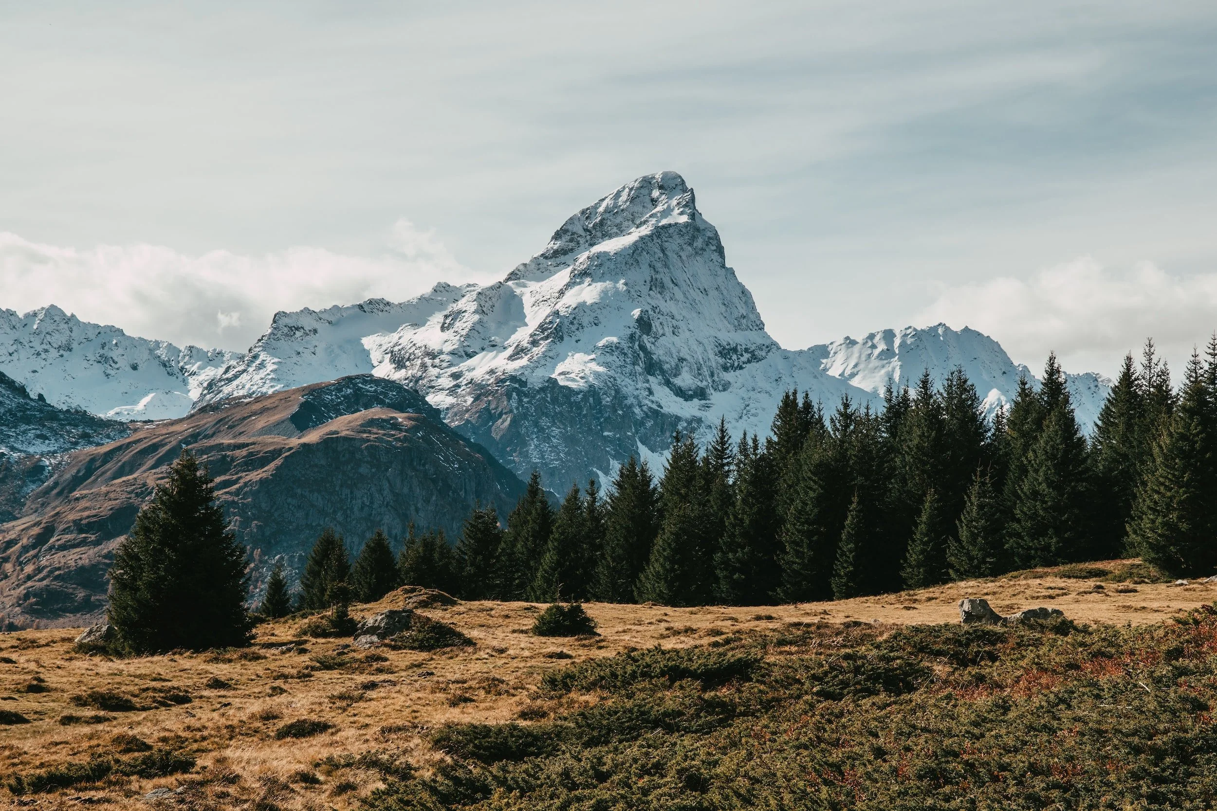 unsplash-image-njnE-7vxPAc.jpg