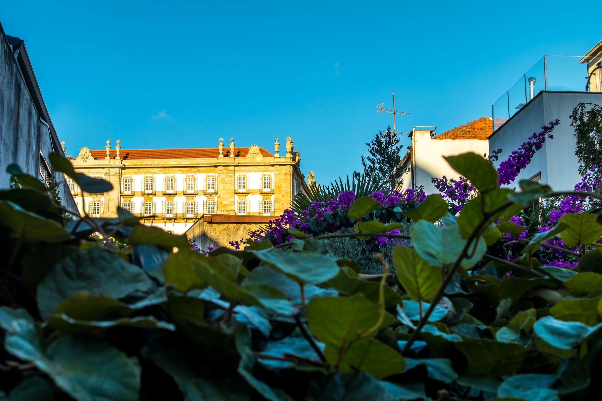 19. The Monestary Founded in 1318, the monastery in Vila do Conde was, at one point, one of the biggest feminine convents in Portugal.