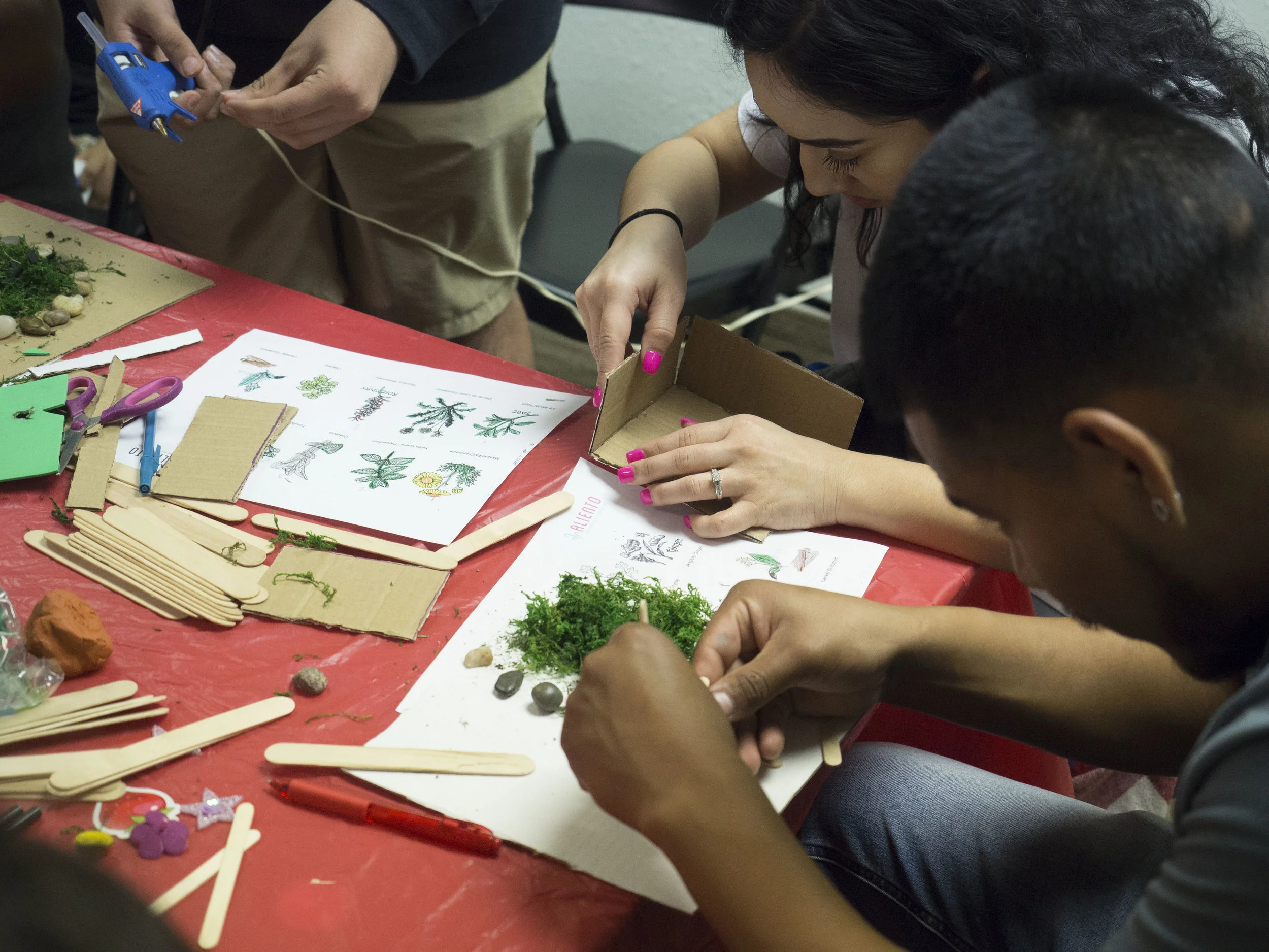 03-17-2018 Planting Seeds_9941.jpg