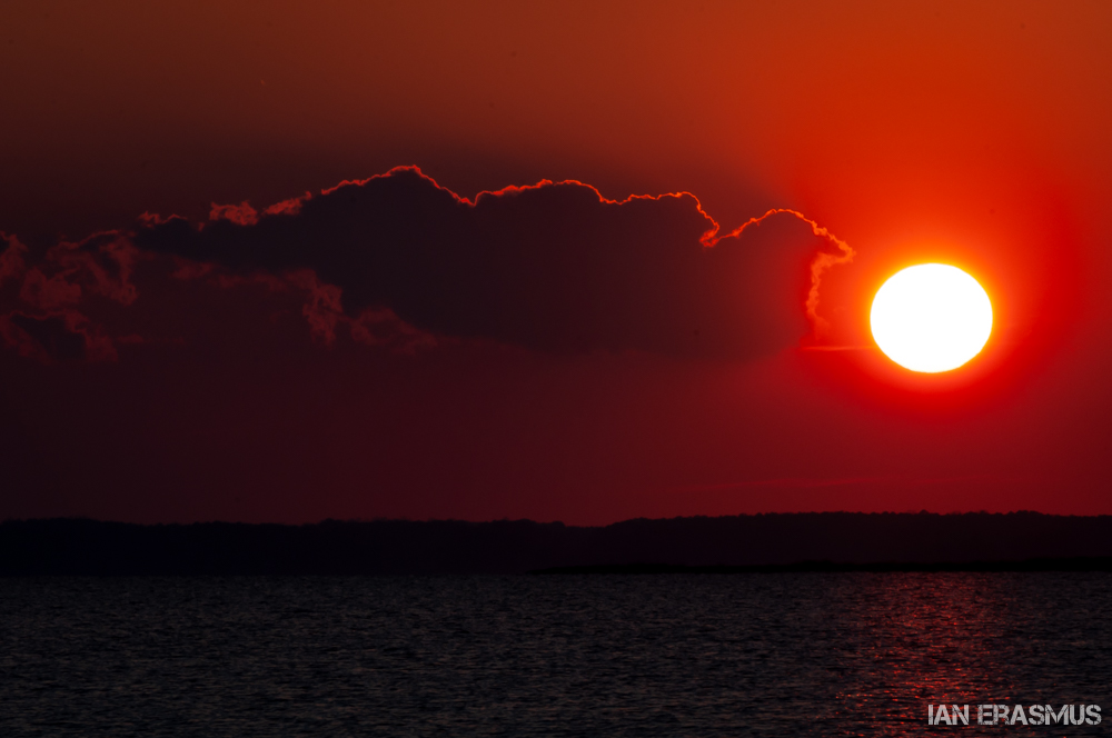 Assateague Island-12.jpg