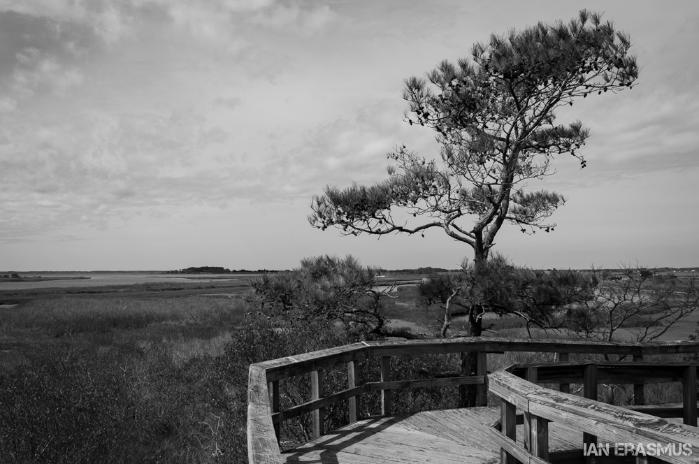 Assateague Island-26.jpg