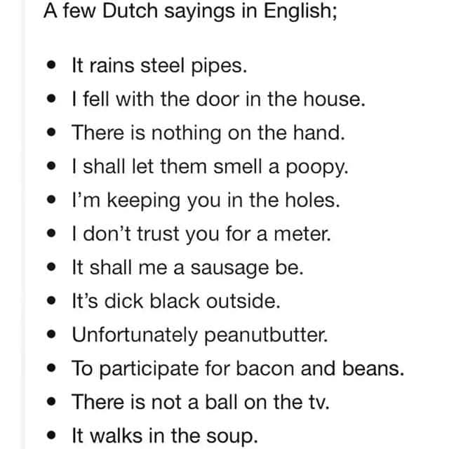12 Hilarious Dutch Expressions Explained | TaalBoost - Dutch Language  Courses
