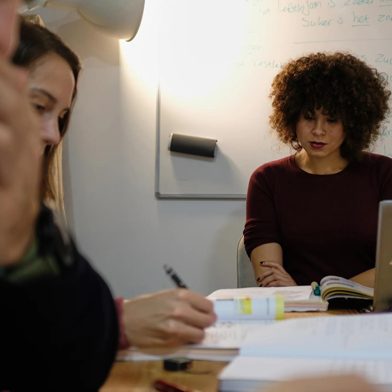 Learn Dutch with TaalBoost - Dutch Language Courses