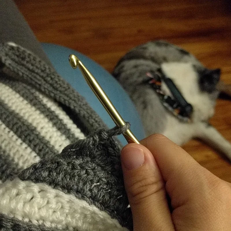 The colors match one of my pups!