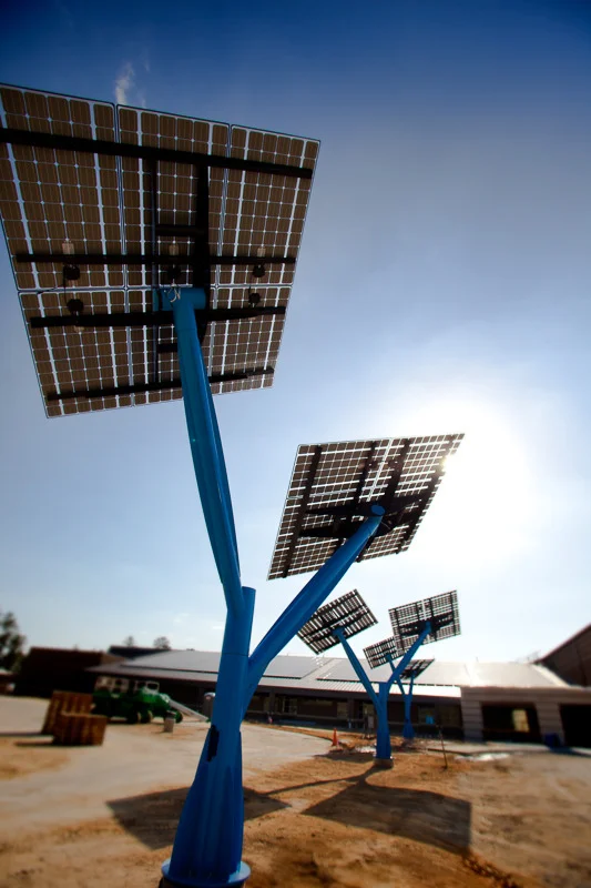 spotlight_solar_sandy_grove-7705.jpg