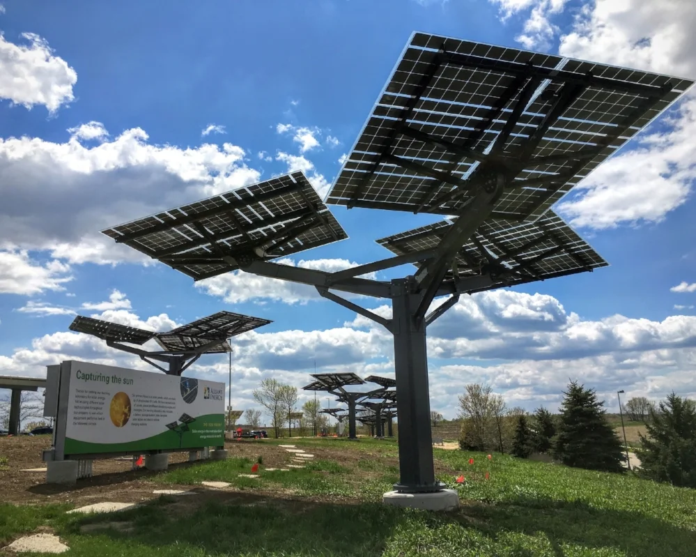 Why Do We Need Trees For Solar Energy? – WZDJ