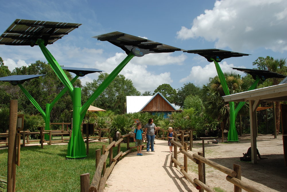 Kangaroo+zoo+2.jpg