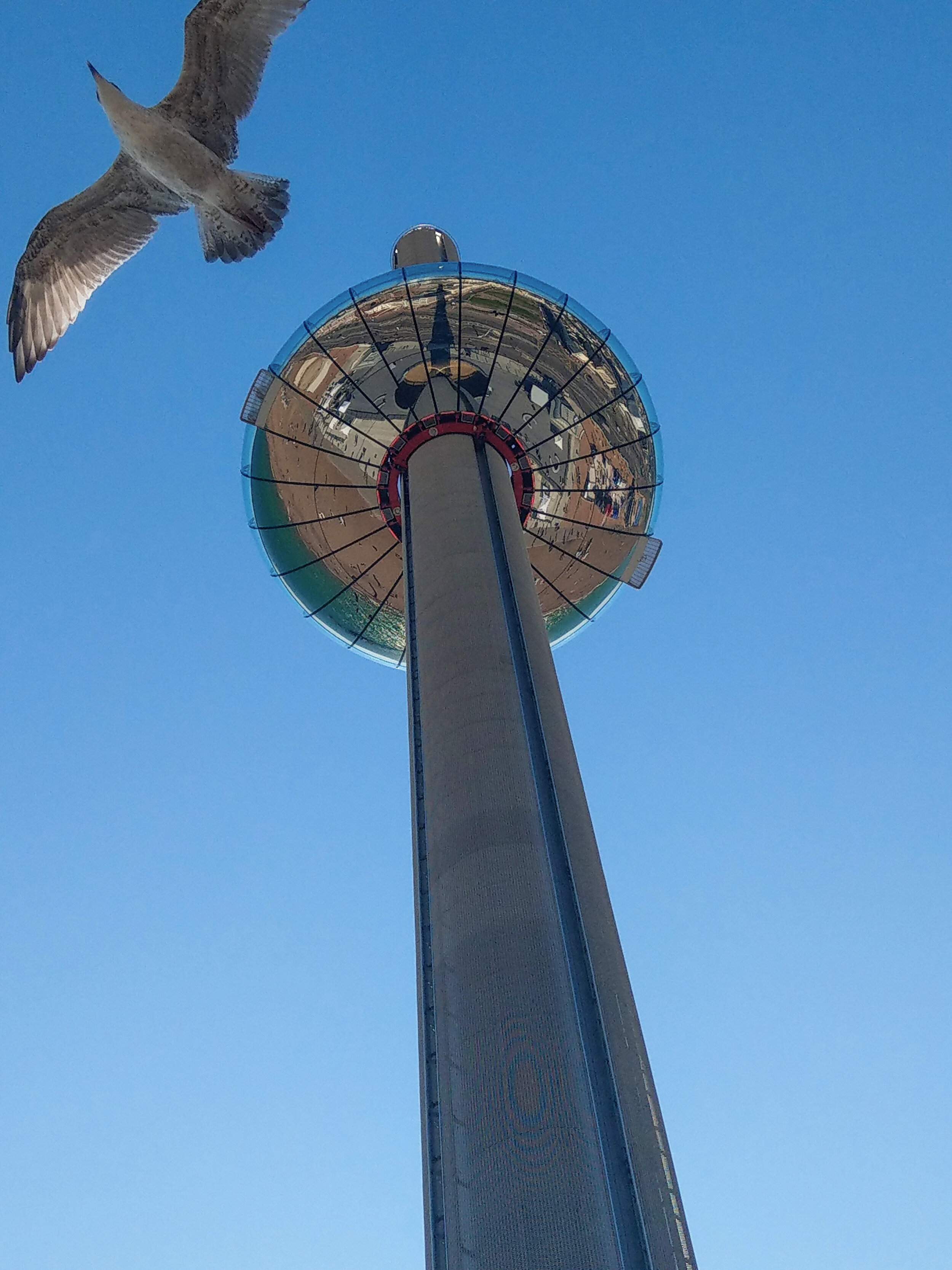 Brighton Observation Tower