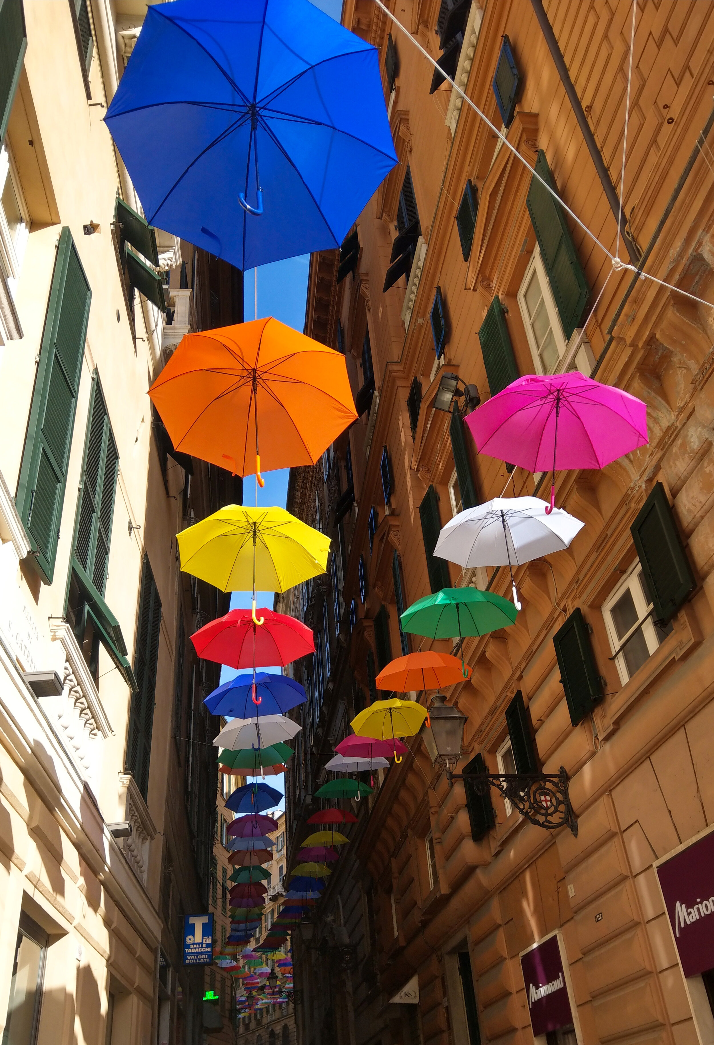 Umbrellas, Genoa, Italy