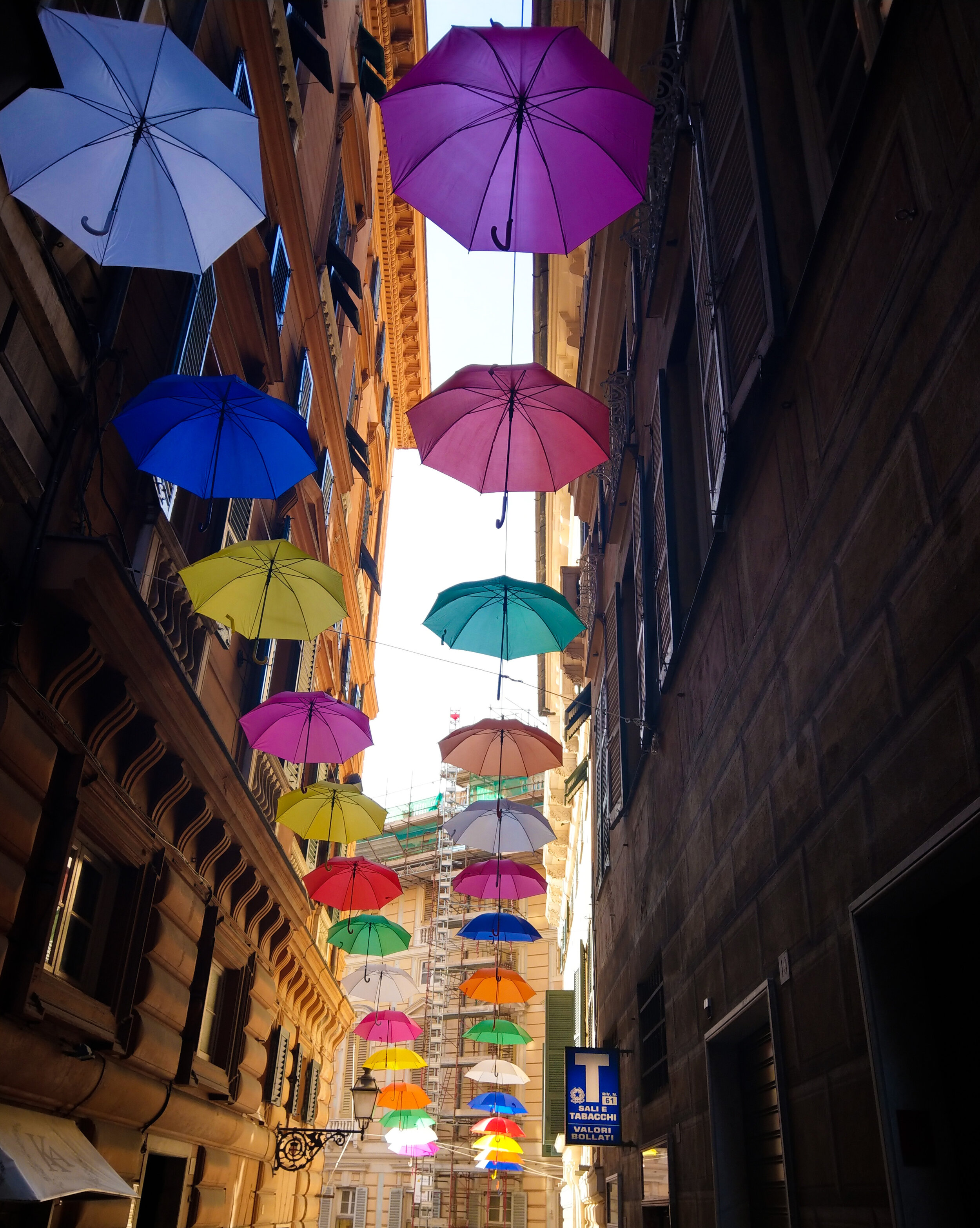 Umbrellas, Genoa, Italy 2