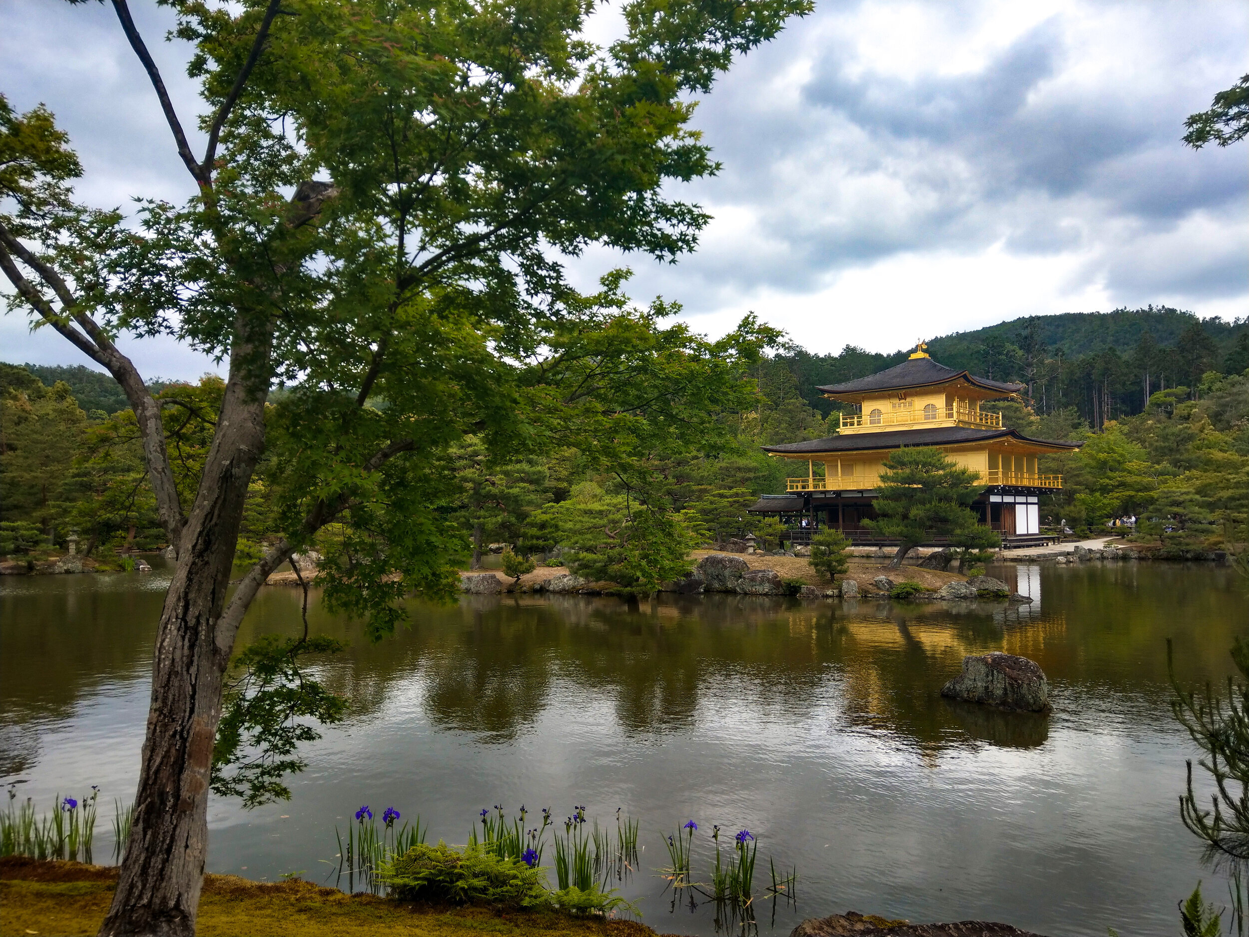Kinkaku-ji (Golden Temple), Kyoto, Japan 金閣寺, 京都, 日本