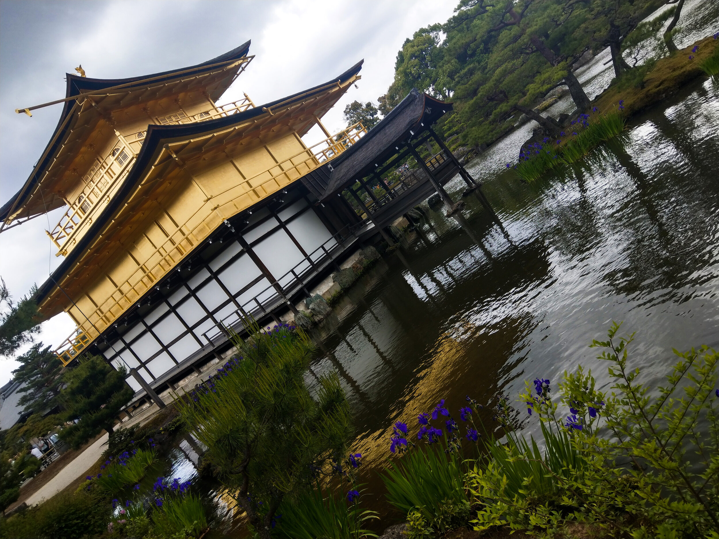 Kinkaku-ji (Golden Temple), Kyoto, Japan 金閣寺, 京都, 日本 3