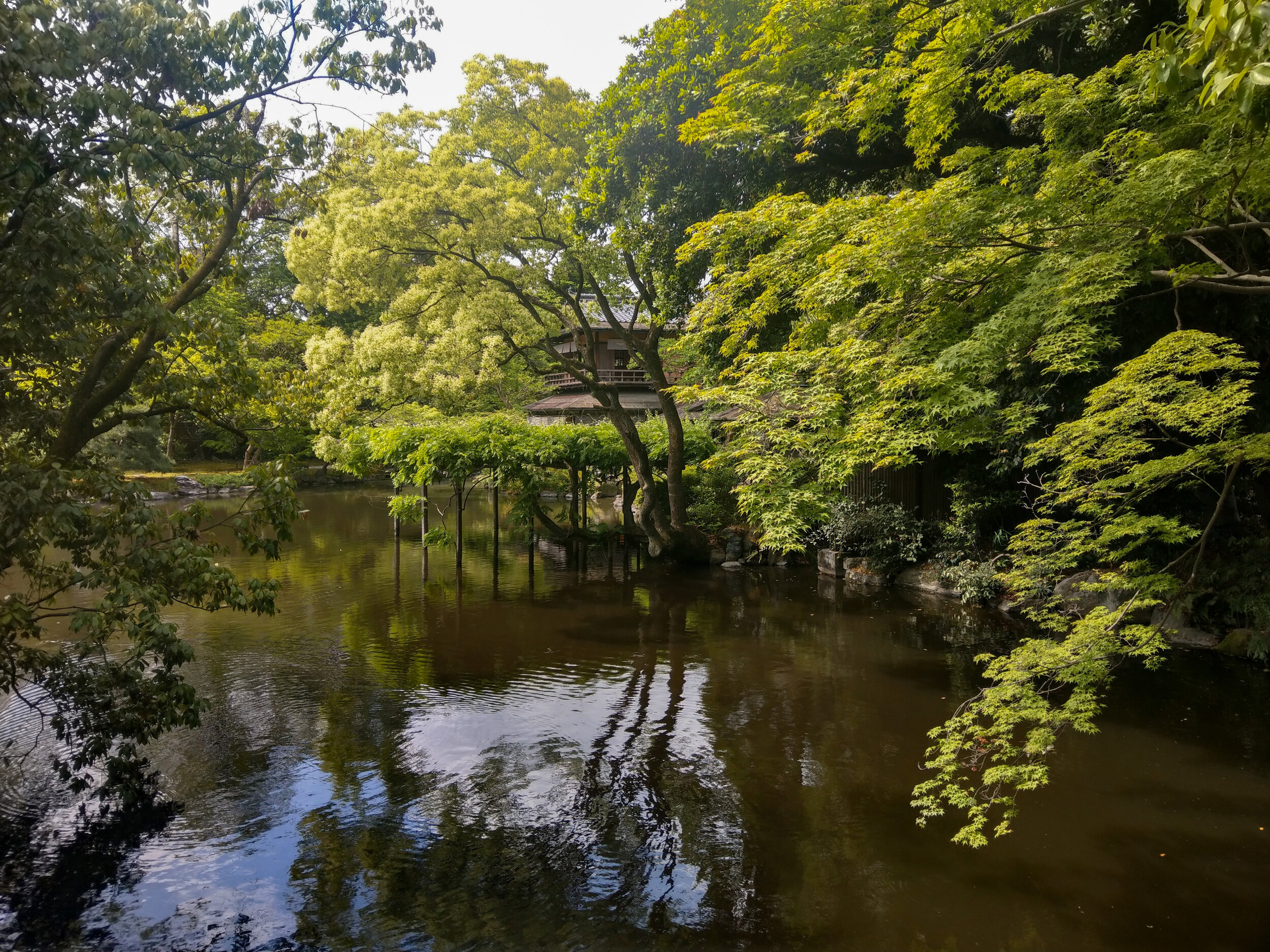 Kyoto Garden, Japan 京都,日本