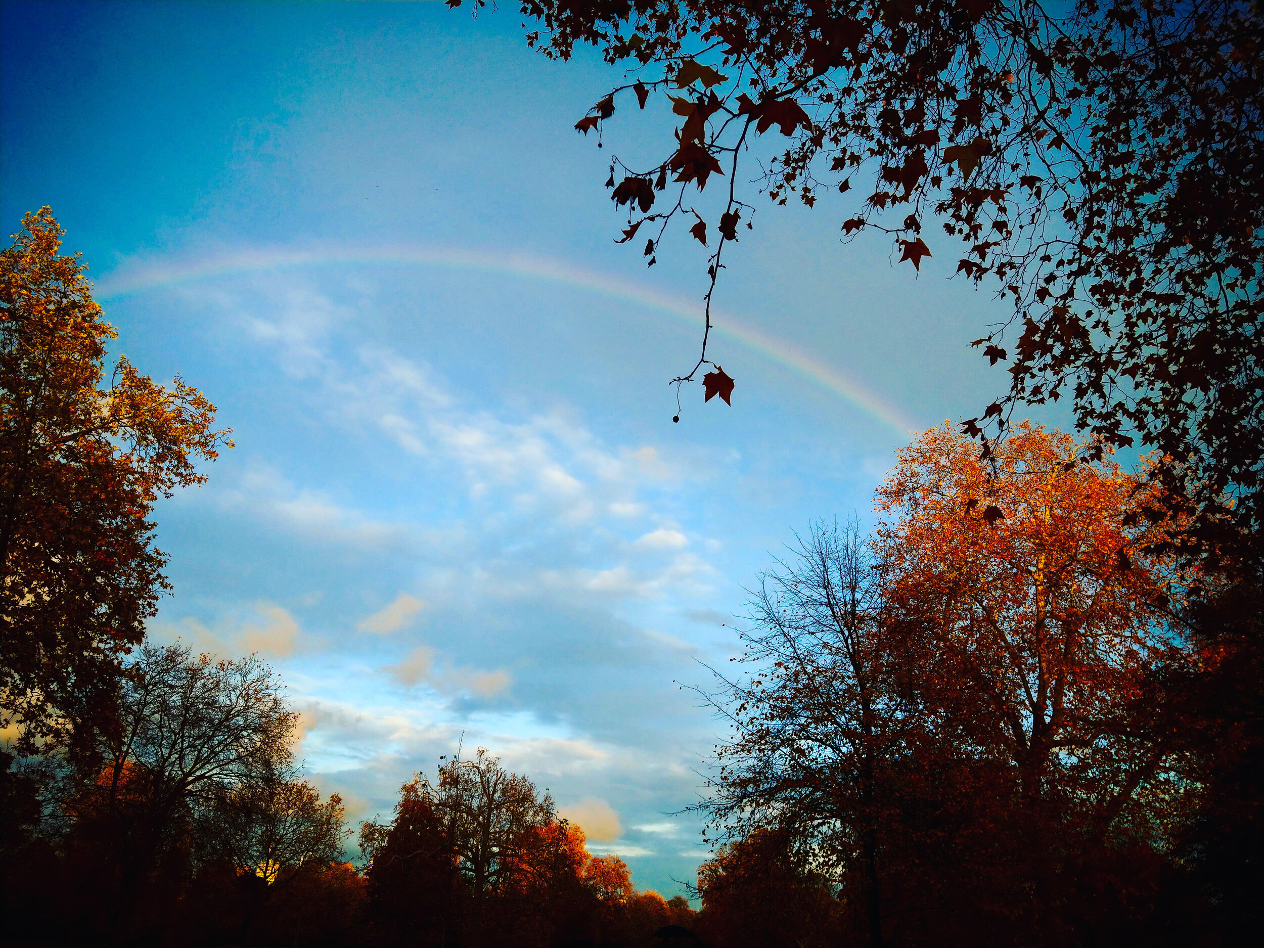 Rainbow, Hyde Park, London