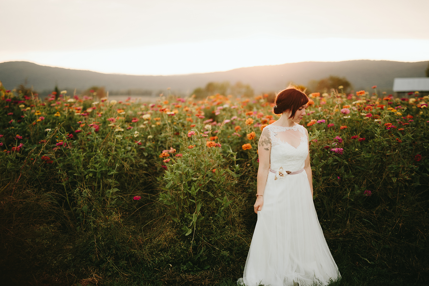 Noyes Wedding - Alicia White Photography-1378.jpg