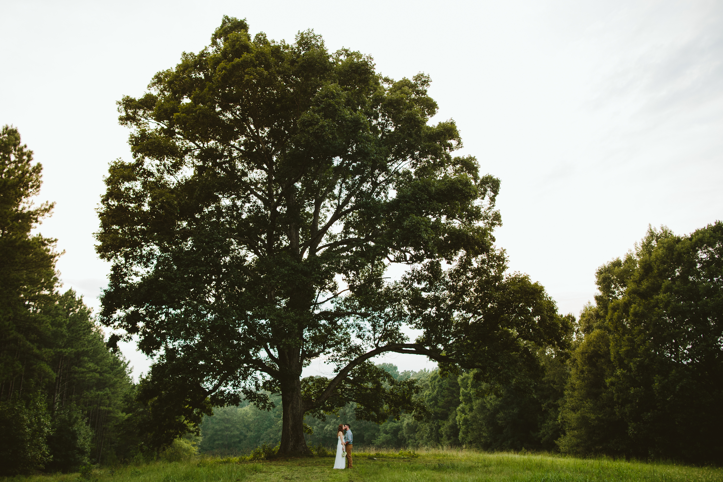 Blake Elopement - Alicia White Photography-243 copy.jpg